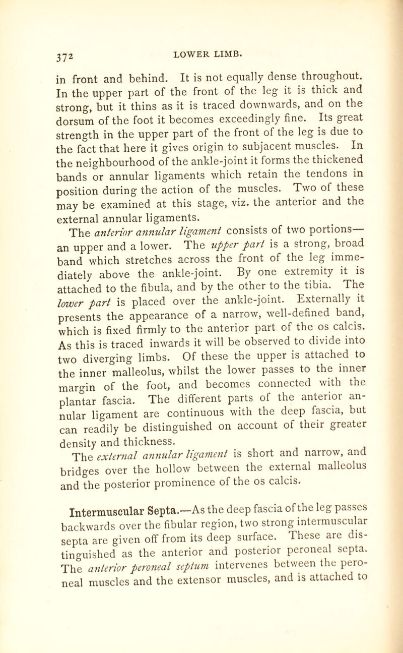 in front and behind. It is not equally dense throughout. In the upper part of the front of the leg it is thick and strong, but it thins as it is traced downwards, and on the dorsum of the foot it becomes exceedingly fine. Its great strength in the upper part of the front of the leg is due to the fact that here it gives origin to subjacent muscles. In the neighbourhood of the ankle-joint it forms the thickened bands or annular ligaments which retain the tendons in position during the action of the muscles. Two of these may be examined at this stage, viz. the anterior and the external annular ligaments. The anterior annular ligament consists of two portions— an upper and a lower. The upper part is a strong, broad band which stretches across the front of the leg imme¬ diately above the ankle-joint. By one extremity it is attached to the fibula, and by the other to the tibia. The lower part is placed over the ankle-joint. Externally it presents the appearance of a narrow, well-defined band, which is fixed firmly to the anterior part of the os calcis. As this is traced inwards it will be observed to divide into two diverging limbs. Of these the upper is attached to the inner malleolus, whilst the lower passes to the inner margin of the foot, and becomes connected with the plantar fascia. The different parts of the anterior an¬ nular ligament are continuous with the deep fascia, but can readily be distinguished on account of their greater density and thickness. The external annular ligament is short and narrow, and bridges over the hollow between the external malleolus and the posterior prominence of the os calcis. Intermuscular Septa.—As the deep fascia of the leg passes backwards over the fibular region, two strong intermuscular septa are given off from its deep surface. These are dis¬ tinguished as the anterior and posterior peroneal septa. The anterior peroneal septum intervenes between the pero¬ neal muscles and the extensor muscles, and is attached to