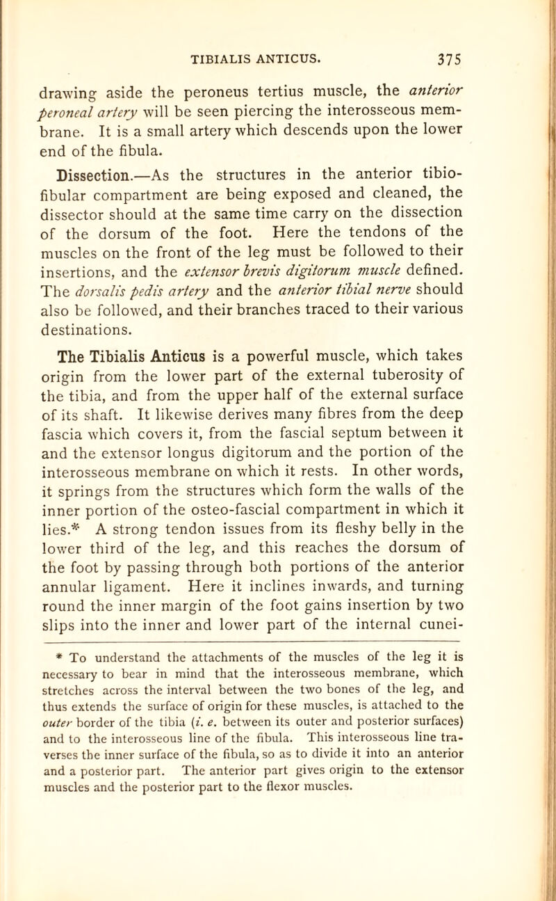 drawing aside the peroneus tertius muscle, the anterior peroneal artery will be seen piercing the interosseous mem¬ brane. It is a small artery which descends upon the lower end of the fibula. Dissection.—As the structures in the anterior tibio¬ fibular compartment are being exposed and cleaned, the dissector should at the same time carry on the dissection of the dorsum of the foot. Here the tendons of the muscles on the front of the leg must be followed to their insertions, and the extensor brevis digitorum muscle defined. The dorsalis pedis artery and the anterior tibial nerve should also be followed, and their branches traced to their various destinations. The Tibialis Anticus is a powerful muscle, which takes origin from the lower part of the external tuberosity of the tibia, and from the upper half of the external surface of its shaft. It likewise derives many fibres from the deep fascia which covers it, from the fascial septum between it and the extensor longus digitorum and the portion of the interosseous membrane on which it rests. In other words, it springs from the structures which form the walls of the inner portion of the osteo-fascial compartment in which it lies.* A strong tendon issues from its fleshy belly in the lower third of the leg, and this reaches the dorsum of the foot by passing through both portions of the anterior annular ligament. Here it inclines inwards, and turning round the inner margin of the foot gains insertion by two slips into the inner and lower part of the internal cunei- * To understand the attachments of the muscles of the leg it is necessary to bear in mind that the interosseous membrane, which stretches across the interval between the two bones of the leg, and thus extends the surface of origin for these muscles, is attached to the outer border of the tibia (i. e. between its outer and posterior surfaces) and to the interosseous line of the fibula. This interosseous line tra¬ verses the inner surface of the fibula, so as to divide it into an anterior and a posterior part. The anterior part gives origin to the extensor muscles and the posterior part to the flexor muscles.