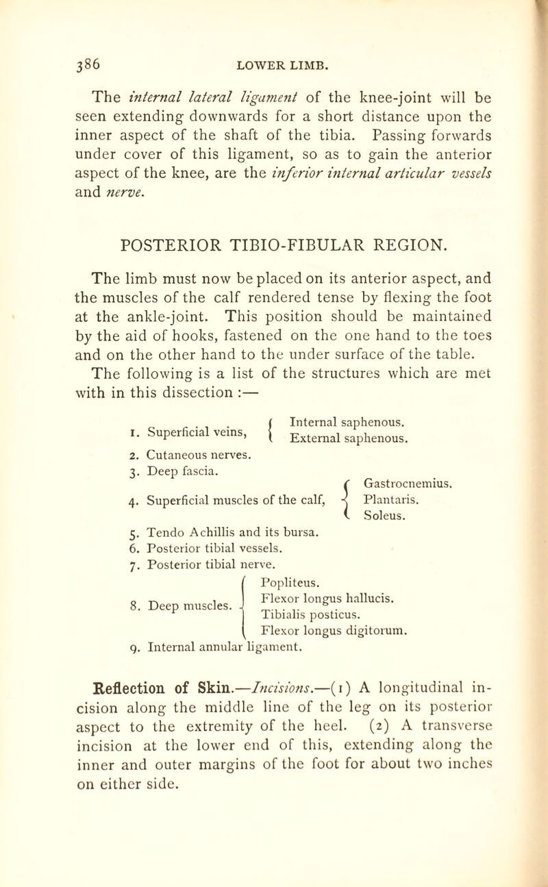The internal lateral ligament of the knee-joint will be seen extending downwards for a short distance upon the inner aspect of the shaft of the tibia. Passing forwards under cover of this ligament, so as to gain the anterior aspect of the knee, are the inferior internal articular vessels and nerve. POSTERIOR TIBIO-FIBULAR REGION. The limb must now be placed on its anterior aspect, and the muscles of the calf rendered tense by flexing the foot at the ankle-joint. This position should be maintained by the aid of hooks, fastened on the one hand to the toes and on the other hand to the under surface of the table. The following is a list of the structures which are met with in this dissection :— {Internal saphenous. External saphenous. 2. Cutaneous nerves. 3. Deep fascia. f Gastrocnemius. 4. Superficial muscles of the calf, -? Plantaris. \ Soleus. 5. Tendo A chillis and its bursa. 6. Posterior tibial vessels. 7. Posterior tibial nerve. 8. 9- Popliteus. Flexor longus hallucis. Tibialis posticus. Flexor longus digitorum. Internal annular ligament. Deep muscles. Reflection of Skin.—Incisions.—(1) A longitudinal in¬ cision along the middle line of the leg on its posterior aspect to the extremity of the heel. (2) A transverse incision at the lower end of this, extending along the inner and outer margins of the foot for about two inches on either side.