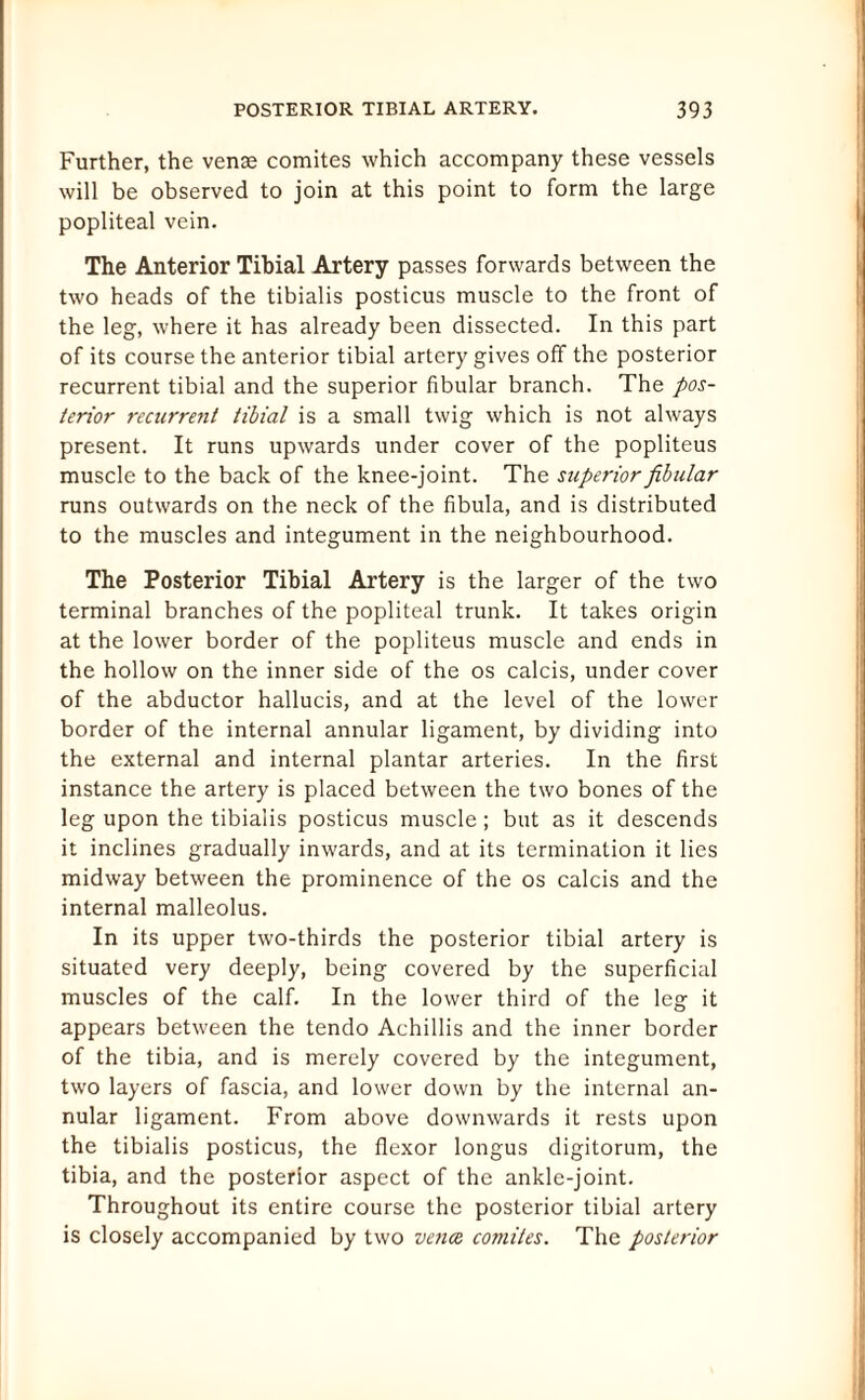 Further, the venae comites which accompany these vessels will be observed to join at this point to form the large popliteal vein. The Anterior Tibial Artery passes forwards between the two heads of the tibialis posticus muscle to the front of the leg, where it has already been dissected. In this part of its course the anterior tibial artery gives off the posterior recurrent tibial and the superior fibular branch. The pos¬ terior recurrent tibial is a small twig which is not always present. It runs upwards under cover of the popliteus muscle to the back of the knee-joint. The superior fibular runs outwards on the neck of the fibula, and is distributed to the muscles and integument in the neighbourhood. The Posterior Tibial Artery is the larger of the two terminal branches of the popliteal trunk. It takes origin at the lower border of the popliteus muscle and ends in the hollow on the inner side of the os calcis, under cover of the abductor hallucis, and at the level of the lower border of the internal annular ligament, by dividing into the external and internal plantar arteries. In the first instance the artery is placed between the two bones of the leg upon the tibialis posticus muscle; but as it descends it inclines gradually inwards, and at its termination it lies midway between the prominence of the os calcis and the internal malleolus. In its upper two-thirds the posterior tibial artery is situated very deeply, being covered by the superficial muscles of the calf. In the lower third of the leg it appears between the tendo Achillis and the inner border of the tibia, and is merely covered by the integument, two layers of fascia, and lower down by the internal an¬ nular ligament. From above downwards it rests upon the tibialis posticus, the flexor longus digitorum, the tibia, and the posterior aspect of the ankle-joint. Throughout its entire course the posterior tibial artery is closely accompanied by two venae comites. The posterior