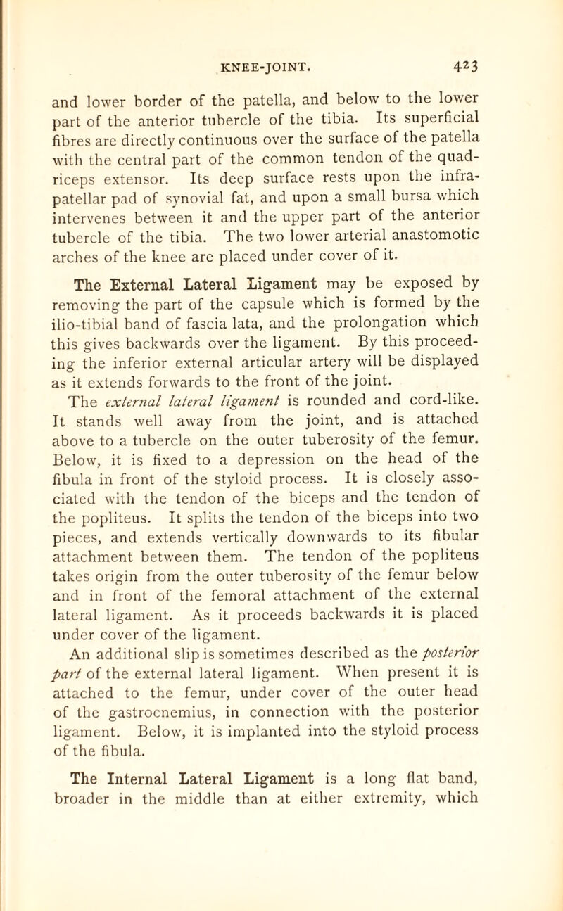 and lower border of the patella, and below to the lower part of the anterior tubercle of the tibia. Its superficial fibres are directly continuous over the surface of the patella with the central part of the common tendon of the quad¬ riceps extensor. Its deep surface rests upon the infra¬ patellar pad of synovial fat, and upon a small bursa which intervenes between it and the upper part of the anterior tubercle of the tibia. The two lower arterial anastomotic arches of the knee are placed under cover of it. The External Lateral Ligament may be exposed by removing the part of the capsule which is formed by the ilio-tibial band of fascia lata, and the prolongation which this gives backwards over the ligament. By this proceed¬ ing the inferior external articular artery will be displayed as it extends forwards to the front of the joint. The external lateral ligament is rounded and cord-like. It stands well away from the joint, and is attached above to a tubercle on the outer tuberosity of the femur. Below, it is fixed to a depression on the head of the fibula in front of the styloid process. It is closely asso¬ ciated with the tendon of the biceps and the tendon of the popliteus. It splits the tendon of the biceps into two pieces, and extends vertically downwards to its fibular attachment between them. The tendon of the popliteus takes origin from the outer tuberosity of the femur below and in front of the femoral attachment of the external lateral ligament. As it proceeds backwards it is placed under cover of the ligament. An additional slip is sometimes described as the posterior part of the external lateral ligament. When present it is attached to the femur, under cover of the outer head of the gastrocnemius, in connection with the posterior ligament. Below, it is implanted into the styloid process of the fibula. The Internal Lateral Ligament is a long flat band, broader in the middle than at either extremity, which