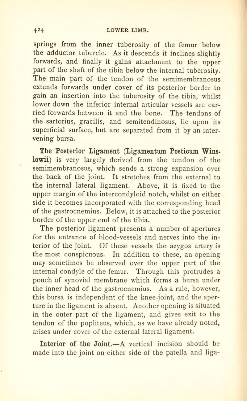 springs from the inner tuberosity of the femur below the adductor tubercle. As it descends it inclines slightly forwards, and finally it gains attachment to the upper part of the shaft of the tibia below the internal tuberosity. The main part of the tendon of the semimembranosus extends forwards under cover of its posterior border to gain an insertion into the tuberosity of the tibia, whilst lower down the inferior internal articular vessels are car¬ ried forwards between it and the bone. The tendons of the sartorius, gracilis, and semitendinosus, lie upon its superficial surface, but are separated from it by an inter¬ vening bursa. The Posterior Ligament (Ligamentum Posticum Wins- lowii) is very largely derived from the tendon of the semimembranosus, which sends a strong expansion over the back of the joint. It stretches from the external to the internal lateral ligament. Above, it is fixed to the upper margin of the intercondyloid notch, whilst on either side it becomes incorporated with the corresponding head of the gastrocnemius. Below, it is attached to the posterior border of the upper end of the tibia. The posterior ligament presents a number of apertures for the entrance of blood-vessels and nerves into the in¬ terior of the joint. Of these vessels the azygos artery is the most conspicuous. In addition to these, an opening may sometimes be observed over the upper part of the internal condyle of the femur. Through this protrudes a pouch of synovial membrane which forms a bursa under the inner head of the gastrocnemius. As a rule, however, this bursa is independent of the knee-joint, and the aper¬ ture in the ligament is absent. Another opening is situated in the outer part of the ligament, and gives exit to the tendon of the popliteus, which, as we have already noted, arises under cover of the external lateral ligament. Interior of the Joint.—A vertical incision should be made into the joint on either side of the patella and liga-