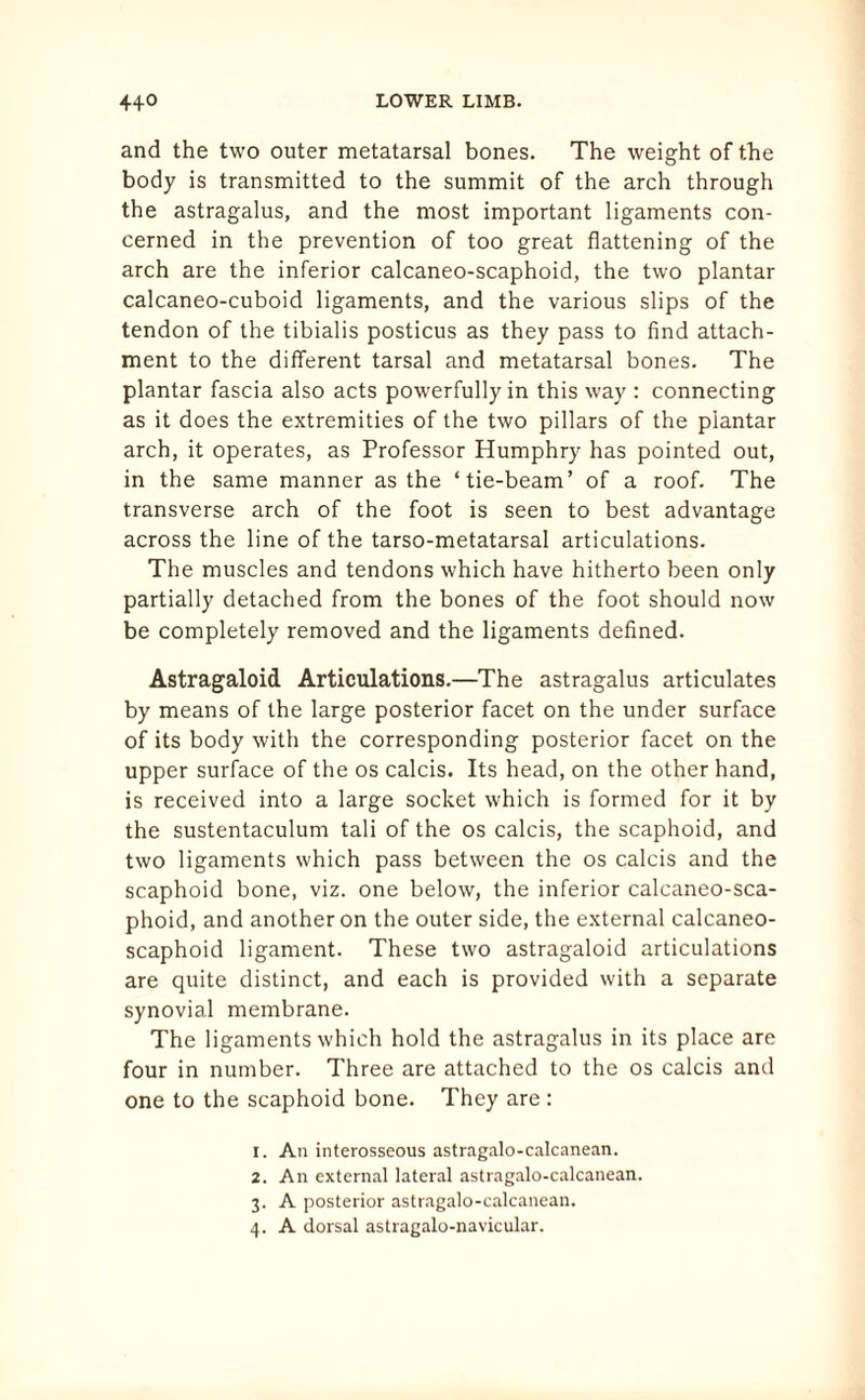 and the two outer metatarsal bones. The weight of the body is transmitted to the summit of the arch through the astragalus, and the most important ligaments con¬ cerned in the prevention of too great flattening of the arch are the inferior calcaneo-scaphoid, the two plantar calcaneo-cuboid ligaments, and the various slips of the tendon of the tibialis posticus as they pass to find attach¬ ment to the different tarsal and metatarsal bones. The plantar fascia also acts powerfully in this way : connecting as it does the extremities of the two pillars of the plantar arch, it operates, as Professor Humphry has pointed out, in the same manner as the ‘tie-beam’ of a roof. The transverse arch of the foot is seen to best advantage across the line of the tarso-metatarsal articulations. The muscles and tendons which have hitherto been only partially detached from the bones of the foot should now be completely removed and the ligaments defined. Astragaloid Articulations.—The astragalus articulates by means of the large posterior facet on the under surface of its body with the corresponding posterior facet on the upper surface of the os calcis. Its head, on the other hand, is received into a large socket which is formed for it by the sustentaculum tali of the os calcis, the scaphoid, and two ligaments which pass between the os calcis and the scaphoid bone, viz. one below, the inferior calcaneo-sca¬ phoid, and another on the outer side, the external calcaneo- scaphoid ligament. These two astragaloid articulations are quite distinct, and each is provided with a separate synovial membrane. The ligaments which hold the astragalus in its place are four in number. Three are attached to the os calcis and one to the scaphoid bone. They are: 1. An interosseous astragalo-calcanean. 2. An external lateral astragalo-calcanean. 3. A posterior astragalo-calcanean. 4. A dorsal astragalo-navicular.
