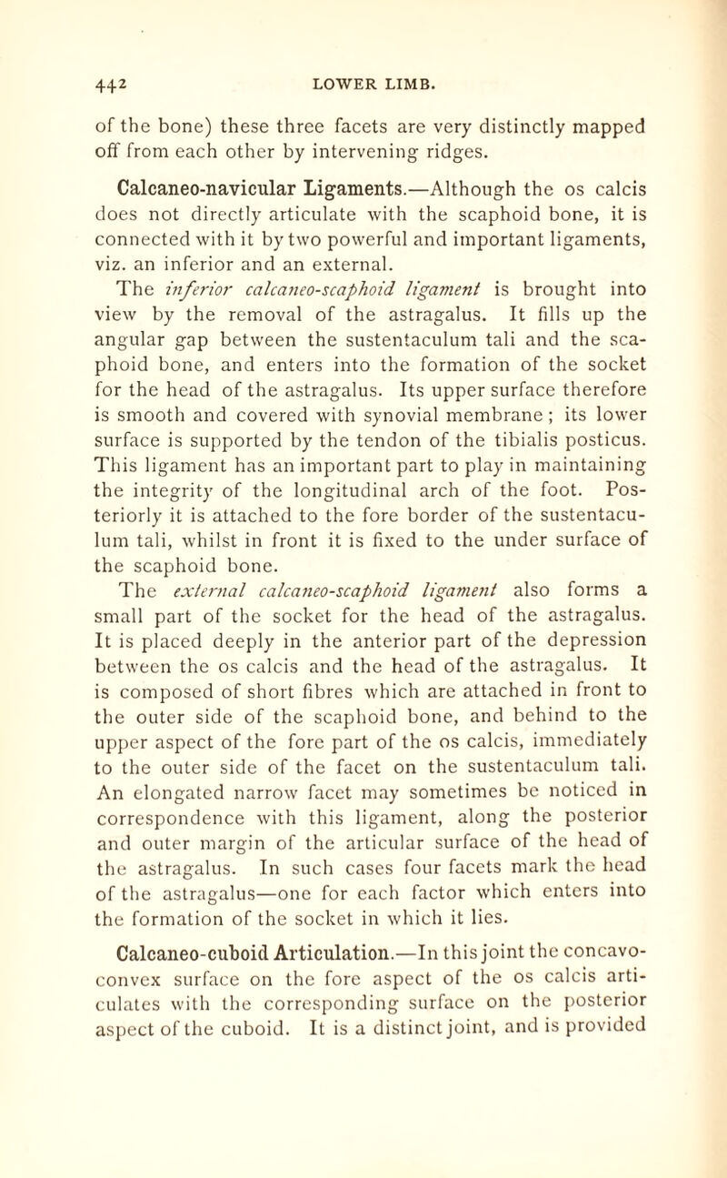 of the bone) these three facets are very distinctly mapped off from each other by intervening ridges. Calcaneo-navicular Ligaments.—Although the os calcis does not directly articulate with the scaphoid bone, it is connected with it by two powerful and important ligaments, viz. an inferior and an external. The inferior calcaneo-scaphoid ligament is brought into view by the removal of the astragalus. It fills up the angular gap between the sustentaculum tali and the sca¬ phoid bone, and enters into the formation of the socket for the head of the astragalus. Its upper surface therefore is smooth and covered with synovial membrane ; its lower surface is supported by the tendon of the tibialis posticus. This ligament has an important part to play in maintaining the integrity of the longitudinal arch of the foot. Pos¬ teriorly it is attached to the fore border of the sustentacu¬ lum tali, whilst in front it is fixed to the under surface of the scaphoid bone. The external calcaneo-scaphoid ligament also forms a small part of the socket for the head of the astragalus. It is placed deeply in the anterior part of the depression between the os calcis and the head of the astragalus. It is composed of short fibres which are attached in front to the outer side of the scaphoid bone, and behind to the upper aspect of the fore part of the os calcis, immediately to the outer side of the facet on the sustentaculum tali. An elongated narrow facet may sometimes be noticed in correspondence with this ligament, along the posterior and outer margin of the articular surface of the head of the astragalus. In such cases four facets mark the head of the astragalus—one for each factor which enters into the formation of the socket in which it lies. Calcaneo-cuboid Articulation.—In this joint the concavo- convex surface on the fore aspect of the os calcis arti¬ culates with the corresponding surface on the posterior aspect of the cuboid. It is a distinct joint, and is provided