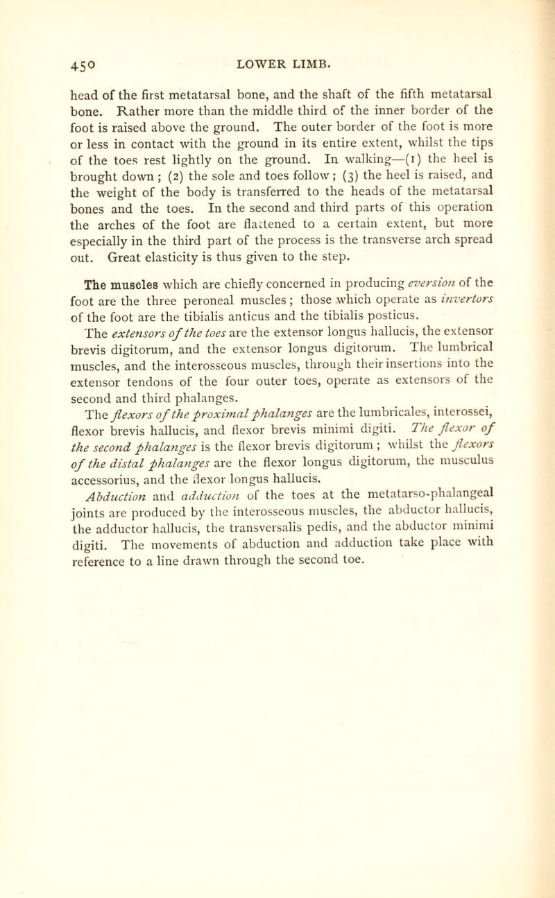 45° head of the first metatarsal bone, and the shaft of the fifth metatarsal bone. Rather more than the middle third of the inner border of the foot is raised above the ground. The outer border of the foot is more or less in contact with the ground in its entire extent, whilst the tips of the toes rest lightly on the ground. In walking—(i) the heel is brought down ; (2) the sole and toes follow; (3) the heel is raised, and the weight of the body is transferred to the heads of the metatarsal bones and the toes. In the second and third parts of this operation the arches of the foot are flattened to a certain extent, but more especially in the third part of the process is the transverse arch spread out. Great elasticity is thus given to the step. The muscles which are chiefly concerned in producing eversion of the foot are the three peroneal muscles ; those which operate as invertors of the foot are the tibialis anticus and the tibialis posticus. The extensors of the toes are the extensor longus hallucis, the extensor brevis digitorum, and the extensor longus digitorum. The lumbrical muscles, and the interosseous muscles, through their insertions into the extensor tendons of the four outer toes, operate as extensors of the second and third phalanges. Tae. flexors of the proximal phalanges are the lumbricales, interossei, flexor brevis hallucis, and flexor brevis minimi digiti. The flexor of the second phalanges is the flexor brevis digitorum ; whilst the flexors of the distal phalanges are the flexor longus digitorum, the musculus accessorius, and the flexor longus hallucis. Abduction and adduction of the toes at the metatarso-phalangeal joints are produced by the interosseous muscles, the abductor hallucis, the adductor hallucis, the transversalis pedis, and the abductor minimi digiti. The movements of abduction and adduction take place with reference to a line drawn through the second toe.