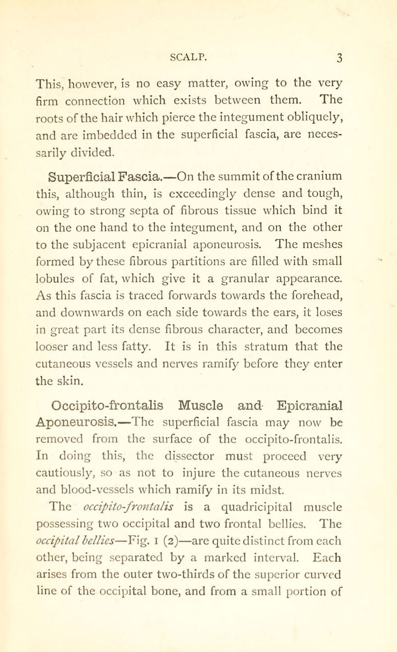 This, however, is no easy matter, owing to the very firm connection which exists between them. The roots of the hair which pierce the integument obliquely, and are imbedded in the superficial fascia, are neces¬ sarily divided. Superficial Fascia.—On the summit of the cranium this, although thin, is exceedingly dense and tough, owing to strong septa of fibrous tissue which bind it on the one hand to the integument, and on the other to the subjacent epicranial aponeurosis. The meshes formed by these fibrous partitions are filled with small lobules of fat, which give it a granular appearance. As this fascia is traced forwards towards the forehead, and downwards on each side towards the ears, it loses in great part its dense fibrous character, and becomes looser and less fatty. It is in this stratum that the cutaneous vessels and nerves ramify before they enter the skin. Occipito-frontalis Muscle and Epicranial Aponeurosis.—The superficial fascia may now be removed from the surface of the occipito-frontalis. In doing this, the dissector must proceed very cautiously, so as not to injure the cutaneous nerves and blood-vessels which ramify in its midst. The occipito-frontalis is a quadricipital muscle possessing two occipital and two frontal bellies. The occipital bellies—Fig. I (2)—are quite distinct from each other, being separated by a marked interval. Each arises from the outer two-thirds of the superior curved line of the occipital bone, and from a small portion of