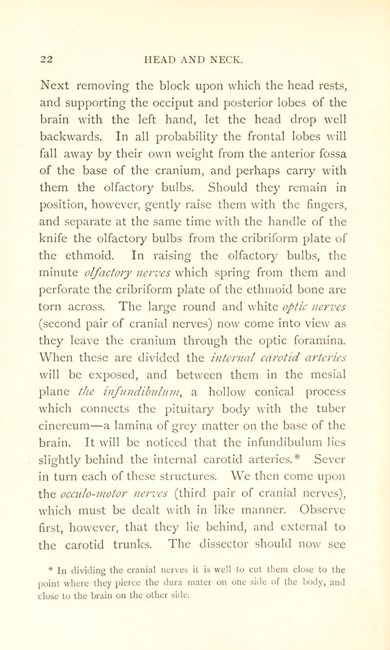 Next removing the block upon which the head rests, and supporting the occiput and posterior lobes of the brain with the left hand, let the head drop well backwards. In all probability the frontal lobes will fall away by their own weight from the anterior fossa of the base of the cranium, and perhaps carry with them the olfactory bulbs. Should they remain in position, however, gently raise them with the fingers, and separate at the same time with the handle of the knife the olfactory bulbs from the cribriform plate of the ethmoid. In raising the olfactory bulbs, the minute olfactory nerves which spring from them and perforate the cribriform plate of the ethmoid bone are torn across. The large round and white optic nerves (second pair of cranial nerves) now come into view as they leave the cranium through the optic foramina. When these are divided the internal carotid arteries will be exposed, and between them in the mesial plane the infundibulum, a hollow conical process which connects the pituitary body with the tuber cinereum—a lamina of grey matter on the base of the brain. It will be noticed that the infundibulum lies slightly behind the internal carotid arteries.* Sever in turn each of these structures. We then come upon the occulo-motor nerves (third pair of cranial nerves), which must be dealt with in like manner. Observe first, however, that they lie behind, and external to the carotid trunks. The dissector should now see * In dividing the cranial nerves it is well to cut them close to the point where they pierce the dura mater on one side of the body, and close to the brain on the other side.