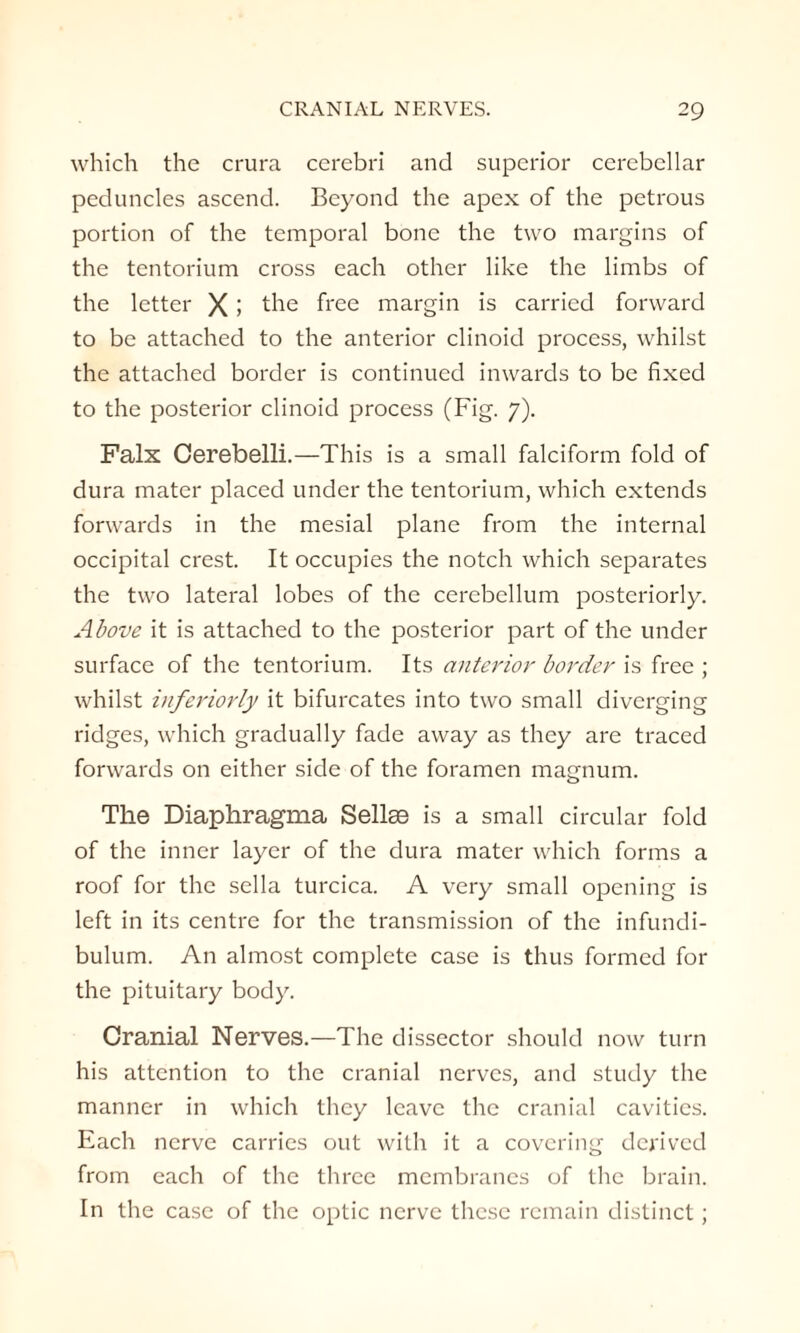 which the crura cerebri and superior cerebellar peduncles ascend. Beyond the apex of the petrous portion of the temporal bone the two margins of the tentorium cross each other like the limbs of the letter X ! the free margin is carried forward to be attached to the anterior clinoid process, whilst the attached border is continued inwards to be fixed to the posterior clinoid process (Fig. 7). Falx Cerebelli.—This is a small falciform fold of dura mater placed under the tentorium, which extends forwards in the mesial plane from the internal occipital crest. It occupies the notch which separates the two lateral lobes of the cerebellum posteriorly. Above it is attached to the posterior part of the under surface of the tentorium. Its anterior border is free ; whilst inferiorly it bifurcates into two small diverging ridges, which gradually fade away as they are traced forwards on either side of the foramen magnum. The Diaphragma Sellse is a small circular fold of the inner layer of the dura mater which forms a roof for the sella turcica. A very small opening is left in its centre for the transmission of the infundi¬ bulum. An almost complete case is thus formed for the pituitary body. Cranial Nerves.—The dissector should now turn his attention to the cranial nerves, and study the manner in which they leave the cranial cavities. Each nerve carries out with it a covering derived from each of the three membranes of the brain. In the case of the optic nerve these remain distinct;