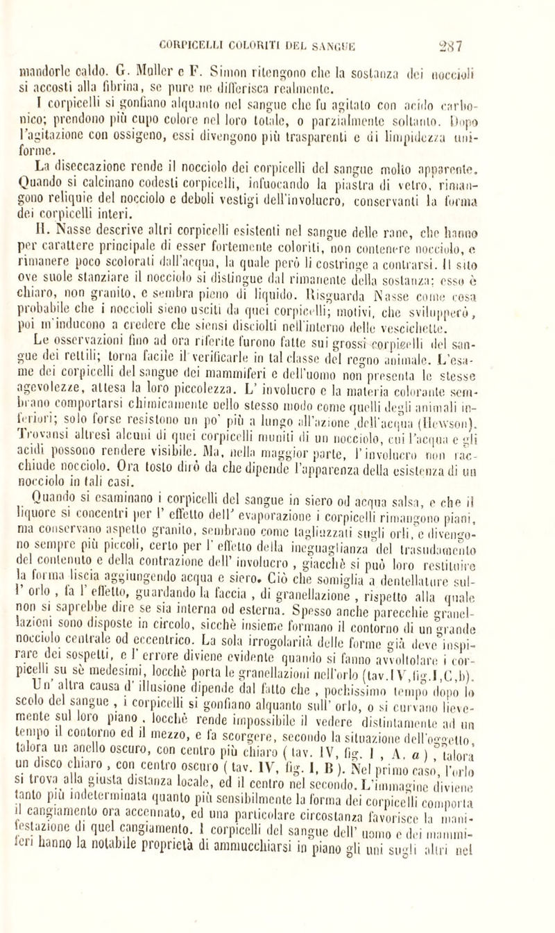 mandorle caldo. G. Moller e F. Simon ritengono elio la sostanza dei noccioli si accosti alla fibrina, se pure ne differisca realmente. 1 corpicelli si gonfiano alquanto nel sangue clic fu agitalo con acido carbo¬ nico; prendono più cupo colore nel loro totale, o parzialmente soltanto. Dopo l’agitazione con ossigeno, essi divengono più trasparenti e di limpidezza uni¬ forme. La discccazione rende il nocciolo dei corpicelli del sangue molto apparente. Oliando si calcinano codesti corpicelli, infuocando la piastra di vetro,'riman¬ gono reliquie del nocciolo e deboli vestigi dell'involucro, conservanti la forma dei corpicelli interi. II. Nasse descrive altri corpicelli esistenti nel sangue delle rane, die hanno per carattere principale di esser fortemente coloriti, non contenere nocciolo, c rimanere poco scolorati dall acqua, la quale però li costringe a centrarsi. Il suo ove suole stanziare il nocciolo si distingue dal rimanente della sostanza; esso è chiaro, non granilo, e sembra pieno di liquido. Uisguarda Nasse come cosa probabile che i noccioli sieno usciti da quei corpicelli; motivi, che svilupperò, poi in'inducono a credere clic siensi disciolti nell'interno delle vescichette. Le osservazioni fino ad ora riferite furono fatte sui grossi corpicelli del san¬ gue dei rettili, torna laciic il verificarle in tal classe del regno animale. L’esa¬ me dei coipieclli del sangue dei mammiferi e dell’uomo non presenta le stesse agevolezze, attesa la loro piccolezza. L involucro c la materia colorante sem¬ inano lonipoi lai si chimicamente nello stesso modo come quelli degli animali in- iVriuri; solo forse resistono un po’ più a lungo all’azione .dell'acqua (Hewson). Trovansi altresì alcuni di quei corpicelli muniti di un nocciolo, cui l’acqua e gli acidi possono rendere visibile. Ma. nella maggior parte, l'involucro non rac¬ chiude nocciolo. Ora tosto dirò da che dipende l’apparenza della esistenza di un nocciolo in tali casi. Quando si esaminano i corpicelli del sangue in siero od acqua salsa, e che il liquoic si concentii pei 1 effetto dell evaporazione i corpicelli rimangono piani, ma conservano aspetto granilo, sembrano come tagliuzzati sugli orli,e divengo¬ no sempre più piccoli, certo per l'effetto della ineguaglianza'del trasudamento del contenuto e della contrazione dell’ involucro , giacché si può loro restituirò la forma liscia aggiungendo acqua e siero. Ciò che somiglia a dentellature sul- oi lo , la effetto, guardando la laccia , di granellazionc , rispetto alla quale non si saprebbe due se sia interna od esterna. Spesso anche parecchie grancl- laziom sono disposte in circolo, sicché insieme formano il contorno di un rande nocciolo centrale od eccentrico. La sola irrogolarilà dulie forme già deve inspi- rare dei sospetti, c 1’ errore diviene evidente quando si fanno avvoltolare i cor- picelli su sé medesimi, locchè porta le granellatili nell’orlo (tav.I V.lig.l ,C,b). Un altra causa d'illusione dipende dal fatto che , pochissimo tempo dopò lo scolo del sangue , ì corpicelli si gonfiano alquanto sull’ orlo, o si curvano lieve¬ mente sul loro piano locchè rende impossibile il vedere distintamente ad un tempo il contorno ed il mezzo, e fa scorgere, secondo la situazione dell'oetlo talora un anello oscuro, con centro più chiaro ( tav. IV, li 1 \ a) t-ilon un disco chiaro con centro oscuro ( tav. IV, fìg. I, B ). Nel primo caso’, l’orlo si trova alla giusta distanza locale, ed il centro nel secondo. L’immagine diviene tanto piu indeterminata quanto più sensibilmente la l'orma dei corpicelli comporla d cangiamento ora accennato, ed una particolare circostanza favorisce la mani- estazione di quel cangiamento. 1 corpicelli del sangue dell’ uomo e dei manimi¬ si hann0 la notabile proprietà di ammucchiarsi in piano gli uni sugli altri nel