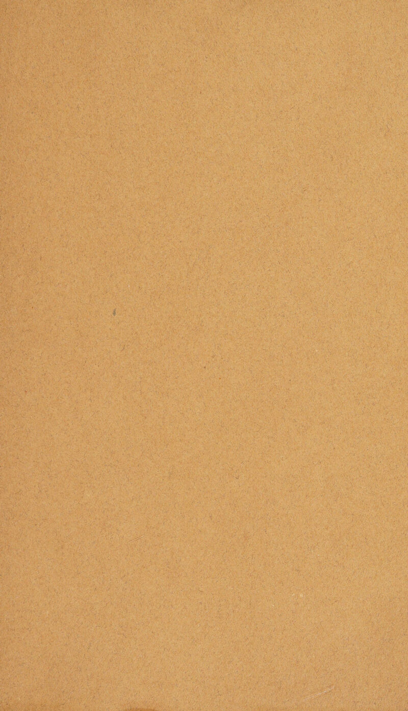 kf- k ©S ofi®; WBW;0:MSMW^ W$ ' ; ■ : - ; ■ ■■■ . ■;:; ',, .' >  '''■- '~ i\ f •»’■,'■} 1 v ' ' v O :  f-s.VA.i. , ■ ' '. y . ' < , ■ ■ :■ iik-ftkf - y ■■ • c'-• 1:^*:-v-*•*•-° -*?-. o\ ? -oko:. *fcv■::*>■>•-•■• •. ..S'-'.'1fftok Sfcp. y vvj' imw-. ■■ ‘vV:;. -..^y:.vv^ M f® ' ■ if a ^bS^riM^M^SSSM ; ' k:«« *•■ • f.v A... . ^ 1 . •' ♦ . X . o ; * ‘ , • i k > ••kk ■. - ■ k y v. ... . • ■ V. . .. . , ■ • • •,.'.. . .. .« ;■ ■ .. V.;y$'' B®’ ' 1 - ■ \ -  . • . SL, S I;*® iff .Ty. y ( ,.t •■:'*; v WK r • - o; ^-r.s :,.vk'i -A’B• Ski B .y'- V <BB' 'i •'5-kkf Of:; yfe: •/,.'■ ;rV1 X s-;, J, yk.-.; ■• .'v 'y-'f. ’.ly- ’•-. kk '■ ■■::::kf ok' WM. k ''B’oVB' •rpK- 7 M kkyk''k'-',ki '■ \ H *■ . ;k®l •v «■..<•• <. , ..S&KKJ yy-.k o WOfyiSi if ® ■ - :.. v.:.v.;,.V' rB-yk#- . & h \ VI . ;V'. ‘j, J ; * ' it , ..V .• ■ f \ ■ Vj, _ : ; ;. ■.. t . ... . . ■ : ■;,.., ■■-■ . .... ... .. : . ■ • ■ f' ff . ■ - .f •• ■.,. - 1 ..... ■ M ■ ' . -4 '... ■ ■.  .; .| . . . v ■ , r , f.'. - . Al : : . ’ iXnX;H B *• . •v; >j^v ' I \ . v '•..*'■■ . • •& A f -i f '  ■ ' ■ \ V ■' j U 'lv ' W1 iv<{ ..'.f. •» '..v: ■ i - ^ ^ « '.y'- _1.m ff.f'.. r-; •;7S  : : I . V:f{; - '5£h® r;S k ''■■•.. . fV. 4. ■ ^ ' kv'yB' ■■. .',r W-' ;.'M'.;'f.‘.VkVe'.'.;:''f r<r■’kk'i fV c. ’. •.- •'•••• ■ , . • *; • • « -'■• ■f ■ ' ' ;. /■' . V . ... .....; r ' v’Jo.' -v -fiO , ■: ;.,.. -)■>' # ■■n. ■■■’.. ; . ..s' •' - . - ,v... .O kvo-fOi; kkffkv .' s'; ..fo . WM v V‘V^vr B kk-kv- •tv;.! .... ~ ■ rK . .... ' .•'•.■ -. ■ ' .O ' J ■ vTw^v7/1 ‘° J '’ v: '/-■ •rAf.<> w * . ,. .. ..^0!.,1.\.0 v-.: Jf 'V'C'‘..kv' >:V ^ 'k- -,k.v ; ■ . V:-1 v '.51 • • V <o ...\i •VX-' ' ^ ' '.-fo .*..vi ,.,.0 v> < ' . ko; ■'.. -v ;.:' * . il . fJV.' > .;.l“ , , ;:v>-k o' ’i 1 ' ' jV: V >r'A = .,■ . *: \o- i •;> >A V. ■' .J;f i. .ki of t. .f - f y*; ' ic('■' $v; v.h/o i .V'-Jf..I|l'r .... ..... ... ■ ... ... .. ... J . o.>-. ;;=M' ”s ■ i.y: . .'j-:.. . • ffe . z ; a: w s« 'y : y f'vff:.-•'.' :yJ ■> v y.Kol ... BX1 J -,r-^ ii* f,®’ 'SSfS?®' fff J . SiikS fei m Off’/ ' . ' ' ' .# iSj »■ f :> ' •:.f. . . ; h , V* ■ V>-:i '.- vV:- i ■ ..' ..kf.. f - kv f ■ y : of .■ ' sn «;<■ ,V..' OO/' . ... , .... ......v'V.. '... t '■ .'■. ' y, i' ,: ...'.O'... ,.- ..... a\o o .. . '■ ■-. ...' ■. .?:■<' ,...■■ ’>■■■' .-. .-;.'o : v' - - Ofo-o? > f.-. . Y%okBo $SM -f f f ^. fo r y,;f > iff®.o' »'..:f..i Xfk’-o fyo-f •;•• .If.1 . ’o- >•. •. .'ftWHHHPB . .■-?■.•.•'•:■■ fo-f. vk r: fv t...V'-Ov “■■ . r - •< ,' ' , o ,: f .ff-' ' ■ .Of'’ > f .fofk.V:fffk,:.'.o.fp,,V; m Bi-H fr- v®'.,', ■;■•' fo'i’.ovvV ' 1 ;•■.';; f J®i.f g . if : .f f; f .-it or' ■'■■. ‘y*. k'! > 1 kook® o kr 'ki i-: . f V •,.. V f' Vr .-. •■ -.<■■ .' y ' -v.- v -. ,.• v •- *••,;' •■..'• >•; .0-..-0.’ -v ■ A- \-s ■ ■'K : ®. ; . - o ioOiOfi -Ofo . ' • » 300*0 - i .'.’ ; o- k f' i : .... . • ... . ’ ... ... V . . 3-.., .... :%M- ’ oB f1 ■ ■. f ■■ - '■fo-yo.;. -yf ■ki ' .- : .  .O ' ■ ! ■■ 3 f 1 ■''' ■ -i\ ■.'./••. , f ... •■.•.. • ’ , . ■ f f > '‘ fokoyo ' Okil'®'.:' k:y':v'Vf 'Vk.v' , m •' Si.. - k-f . ■ ’• UH ' * it - M U.'V y ■'fcV-'V /k: • yytfo; KV’ii.k f,f'o .o;...f... ■:;: - » f. 'o. ■. oo iOV . i., '1-f.Oo' y.,..fo:-:f- yf ffifok,,.. 'f ’jkfofkofyo.f i y ■ VBB' ...... .. ., .fftiH?, ■r^ ' ,f ...o'.'' '' f'lB!® ,ik;' f3 . k l ■!/;, v yfy't-:; yf.: f’ikoS-■> ki{ < o i.' i ;>■ t: ! ■: i >;• . . . kV.kklkffffk: o.f ' : .''.oil' ; ;■' , ' ■ O O' .... O' - ' . UK •--■■ ■•■•■■■ V .f; ■ C'.v / V'-,’,'- l yk : . ; ' k . f 'iif’i'O:: k ■■>■■' 'o ■ ./k./■ . O ' .:. “ ', ' .® k f-off. fi'' ..■ O''' f ' o: ;f.y; ,'A .ifoof.i . . i •• kkk, %}.: k : . :^k, •;jk tlkfl:''oiviky'yokf'o:' V.f.'fV: =;.t <-:-X ,r'k..v>•••■•.••;..,: v • Z*. <:•*•'*• t> .- ; • f. .: v. .•-. .• ’■' i >VB: • •' ‘ 'k .,',1 A' • ■/..' fkfk... V; '. v ®v  < i k . 3f' - :: O'.o, ■ '.f -f iof.;® Of. ;f. if iff yfif'/O..'.^■»;..., f •»■' ,/y:; 'f'-' '.ovvkkk/.;\f,;;v.if'*’;;|i ;rf: o o.o jyff:ffofff :’f ' f f. ': <%.' . y .•   ■--% flf.‘ 8f.s m. m 7.k4 .if.f'k !'®kkkf f • Oof-' kkiofy ik'' ■ ■ ’■ if f? - ff. . - f V ■ » ■'■• - ; „ r ■ • ■ ..'.a? •'•.■f.4 v ; •. i.yff o -■/',/ :y.’, y.r» if,? - .' f;.f k ;o,y ■•■■ ..■ f if,. ■ ... v f... . .... ' rfk®i;kf.'®..oo , ffo'-iff yyof.j '.'f -'fo:''i. yiy: fiyf.... y ••:. I'v'i.v,. ffififi :0;w' . f'y? ? Bl 115 . BB ' ®;Bi f y. f. . Of' off? :s o'® k:o®?k':yfkif ; :?EJ , i.:;viH?;. f S f- f -: ■■ I: k ® off fff Of *i '«L. , ..;• -v. - .?tvk.k>;kfkf; kBk’.’B . k5-V . o O. ' fr®:.o, '..yyf!.,f;.f y' . fo® y .i': '■•■<., ...—yo •...,o. *.o-'.Oi 1'■ 1 . , .,;■.... f? ’■■k:''® v , ..... ■ ' .;. ■' , ' ' .... f ; , ®'kfk:k4?fk' okk' 3 .yok y, . .. . w .ko,ff;k'?f .. o-vf y ®:ff off? Sififyi off -7; 'yfA .'f f J/’ ,f,0:o ;off -. i.o k-V’k 'f.f'kk .(/ ■ *;,V> tv ; Wj< okk'o'; ?k: ‘■■fi’-i. -WO-Ks kiMkkk'if fr: ....., , ,„.. . ; ' ,.k ' ’’V ’ ’i k;o • if,' o'i'f.f O''1*'. .ko V'v, ''kv, ,'y ; l', XAftJf. ' -■' ' ,| f ■■ f.f ; ' ' of O ■f . ., . .  : f, i ’ ‘ ’ ,kko|kikB:t,f k-v /B '' ■ ■ * • - 'v - ' tMok  K, ’' ■ yk/'';' ..'•' 3 'B'k-ij.O'< >••1. y(k’| ■ k'O' f.ii, >>/•’.•/’ y' ff.; ok yoifffy . Ofkoof y;3,ffoo}' f.,fe.fef,:,k.SA.f:'o,o ., offff;;f 'fiff-if'ff ivk:-k;?fy!'r 'Sk ■of;;. yf. fo;:) v BkSB k.o’J'V'B