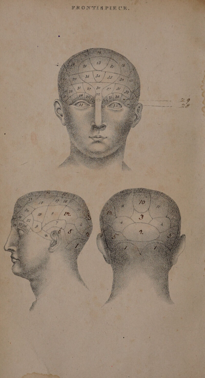 ‘ ‘ t : | | ee a RB 3 Seba tt aera 2 ¢ ’ \ aaa a ' 4