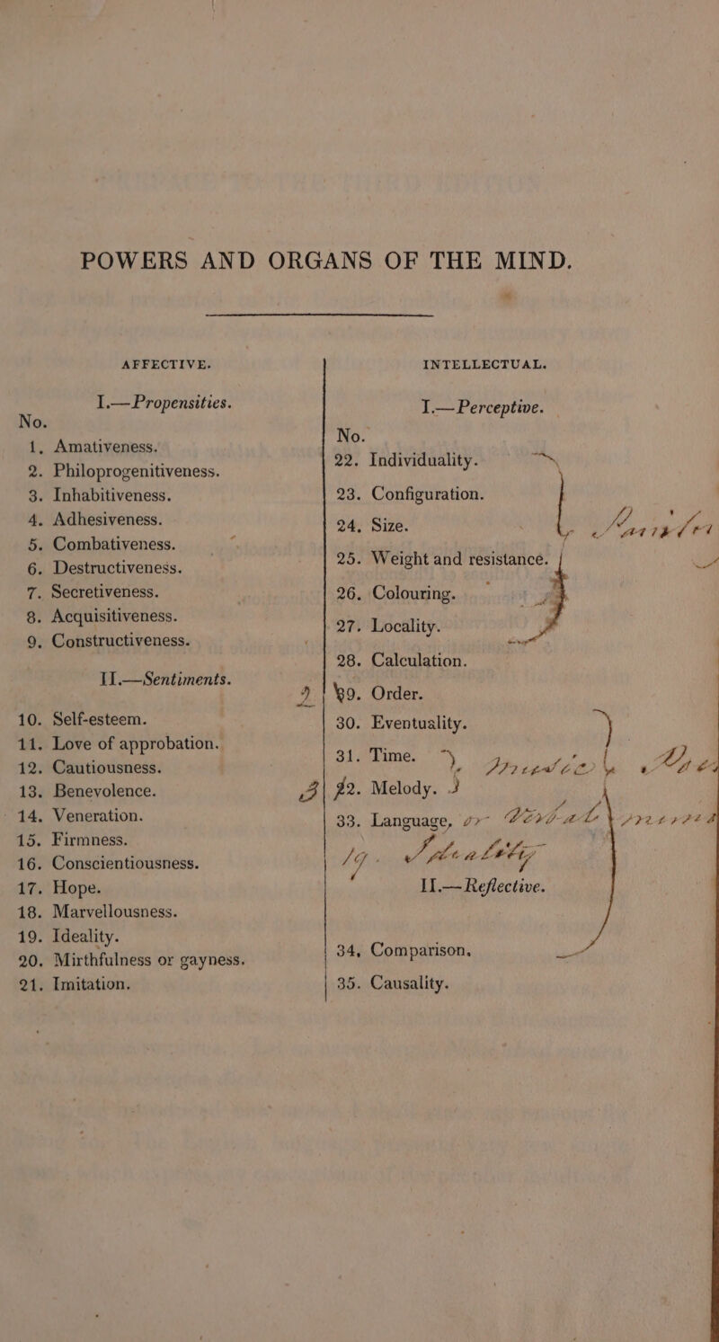 Zz ° OONA A FWD = 10. 11, 12. 13. hes 15. 16. 17. 18. 19. * AFFECTIVE. I.—Propensities. I1.—Sentiments. Self-esteem. Love of approbation. Cautiousness. Benevolence. Veneration. Firmness. Conscientiousness. Hope. Marvellousness. Ideality. Mirthfulness or gayness. Imitation. 2: 3 INTELLECTUAL. I.—Perceptive. | No. 22. Individuality. kia 23. Configuration. 24. Size. iy a’ Atte alld 25. Weight and resistance. | . da 27. Locality. 28. Calculation. | %9. Order. 30. Eventuality. a 31. Time. D, de, FoI aS U s. Lh), 7 A yt Language, 7&gt;~ Verbal ee ie II.— Reflective. Causality.