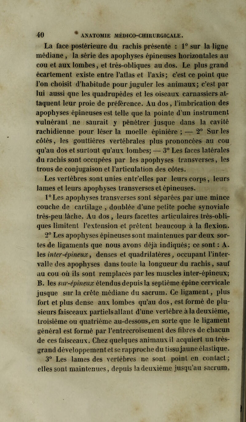 La face postérieure du rachis présente : 1° sur la ligne médiane, la série des apophyses épineuses horizontales au cou et aux lombes, et très-obliques au dos. Le plus grand écartement existe entre l’atlas et l’axis; c’est ce point que l’on choisit d’habitude pour juguler les animaux; c’est par lui aussi que les quadrupèdes et les oiseaux carnassiers at¬ taquent leur proie de préférence. Au dos, l’imbrication des apophyses épineuses est telle que la pointe d’un instrument vulnérant ne saurait y pénétrer jusque dans la cavité rachidienne pour léser la moelle épinière;— 2° Sur les côtés, les gouttières vertébrales plus prononcées au cou qu’au dos et surtout qu'aux lombes; — 3° Les faces latérales du rachis sont occupées par les apophyses transverses, les trous de conjugaison et l’articulation des côtes. Les vertèbres sont unies entr'elles par leurs corps, leurs lames et leurs apophyses transverses et épineuses. t°Les apophyses transverses sont séparées par une mince couche de cartilage , doublée d’une petite poche synoviale très-peu lâche. Au dos, leurs facettes articulaires très-obli¬ ques limitent l’extension et prêtent beaucoup à la flexion. 2° Les apophyses épineuses sont maintenues par deux sor¬ tes de ligaments que nous avons déjà indiqués; ce sont : A. les inter-épineux, denses et quadrilatères, occupant l’inter¬ valle des apophyses dans toute la longueur du rachis, sauf au cou où ils sont remplacés par les muscles inter-èpineux; B. les sur-épineux étendus depuis la septième épine cervicale jusque sur la crête médiane du sacrum. Ce ligament, plus fort et plus dense aux lombes qu’au dos, est formé de plu¬ sieurs faisceaux partiels allant d’une vertèbre à la deuxième, troisième ou quatrième au-dessous, en sorte que le ligament général est formé par l’entrecroisement des fibres de chacun de ces faisceaux. Chez quelques animaux il acquiert un très- grand développement et se rapproche du tissu jaune élastique. 3° Les lames des vertèbres ne sont point en contact; elles sont maintenues, depuis la deuxième jusqu’au sacrum,