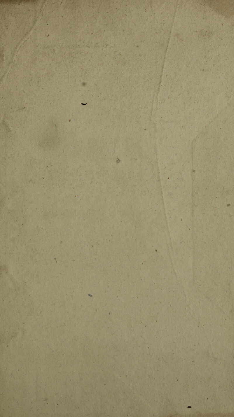 , ) ■} A , 1 > ' \ ■ * f i /