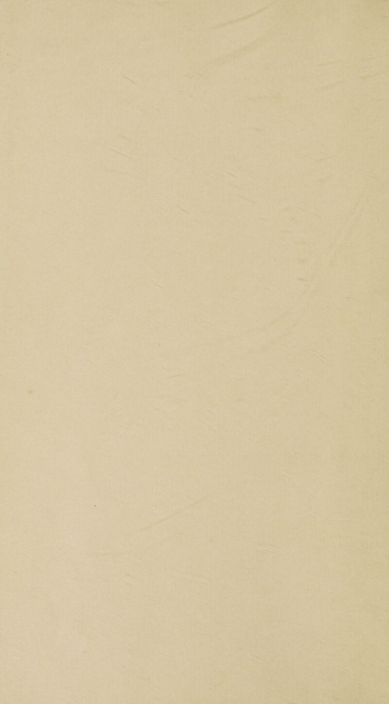 '-J ■ s» ^ _ .*■ ■ '^- * -• -- y / '*: <> •.\ 'n >, •_. J