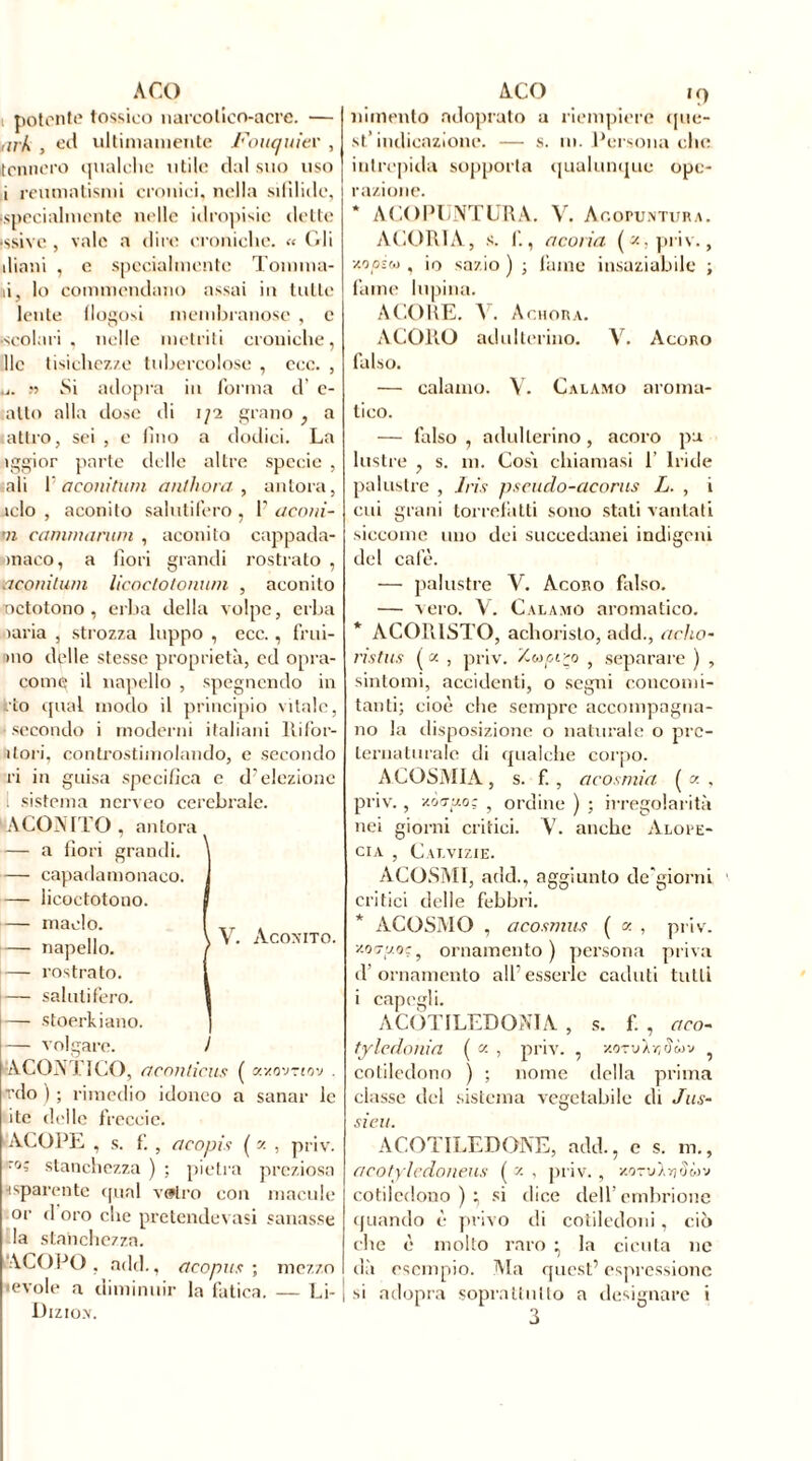 A CO i potente tossico narcotico-acre. — iir/\ , ed ultimamente Fonanter , tennero qualche utile dal suo uso i reumatismi cronici, nella sifilide, •specialmente nelle idropisie dette issivc , vale a dire croniche. « Gli diani , e specialmente Tomma- ii, lo commendano assai in tutte lente flogosi membranose , e scolari, nelle metriti croniche, Ile tisichezze tubercolose , ccc. , u. s> Si adopra in forma d’ e- atto alla dose di 1/2 grano , a altro, sei , e fino a dodici. La ìggior parte delle altre specie , ali F aconitnm anlhora , anfora, aclo , aconito salutifero , F aconi- ti eamnuirwn , aconito cappada- inaco, a fiori grandi rostrato , aconitnm licoctotonnm , aconito octotono , erba della volpe, erba iaria , strozza lappo , ecc., frui- >no delle stesse proprietà, ed opra- come; il napello , spegnendo in rto qual modo il principio vitale, ■secondo i moderni italiani Itifor- itori, controstimolando, e secondo ri in guisa specifica e d'elezione sistema ncrveo cerebrale. 'ACONITO, anioni — a fiori grandi. — capadamonaco. — licoctotono. — m aclo. — napello. rostrato. salutifero. — stoerkiano. — volgare. ! ACONTICO, neon tiens ( axovnov . rdo ) ; rimedio idoneo a sanar le ite delle treccie. ACOPE , s. f. , acopis ( 2 , priv. ’rrj= stanchezza ) ; pietra preziosa •(sparente qua! vwlro con macule or d oro che pretendevasi sanasse la stanchezza. ACORO, add., ctcopus ; mezzo ievole a diminuir la fatica. — Li- Dizio.v. V. Aconito. AGO 19 nimento ndoprato a riempiere que- st’indicazione. — s. m. Persona che intrepida sopporta qualunque ope- razione. * AGOPUNTURA. V. Agopuntura. AGORIA, s. I'., acoria (a, priv., xoosM , io sazio ) ; fame insaziabile ; fame lupina. AGORE. A . A cuora. ACORO adulterino. V. Acoro falso. — calamo. V. Calamo aroma- tico. — falso , adulterino, acoro pa lustre , s. m. Cosi chiamasi F Iride palustre , .Iris pseudo-acoras L. , cui grani torrefatti sono stati vantai siccome uno dei succedanei indigni del calè. — palustre V. Acoro falso. — vero. V. Calamo aromatico. * AC0R1ST0, achoristo, add., acho- ristns ( a , priv. '/.wpt 'o , separare ) , sintomi, accidenti, o segni concomi- tanti; cioè che sempre accompagna- no la disposizione o naturale o pre- ternaturale di qualche corpo. ACOSMIA, s. f. , acosrnia ( a , priv. , /.oTuo; , ordine ) ; irregolarità nei giorni critici. V. anche Alope- cia , Calvizie. AGOSMI, add., aggiunto de giorni critici delle febbri. * ACOSMO , acosmus ( a , priv. x.oTvof, ornamento) persona priva d’ornamento alFesserle caduti tutti i capegli. ACOTILEDONIA , s. f. , aeo- tylcdonia ( a , priv. , zotvÀzcImv , cotiledono ) ; nome della prima classe del sistema vegetabile di Jus- sien. ACOTILEDONE, add., c s. m., aeotyledoneus ( a , priv. , •/.oTulndòìv cotiledono); si dice dell’embrione quando è privo di cotiledoni, ciò che è molto raro ; la cicuta ne dà esempio. Ala quest’ espressione si adopra soprattutto a designare i 3