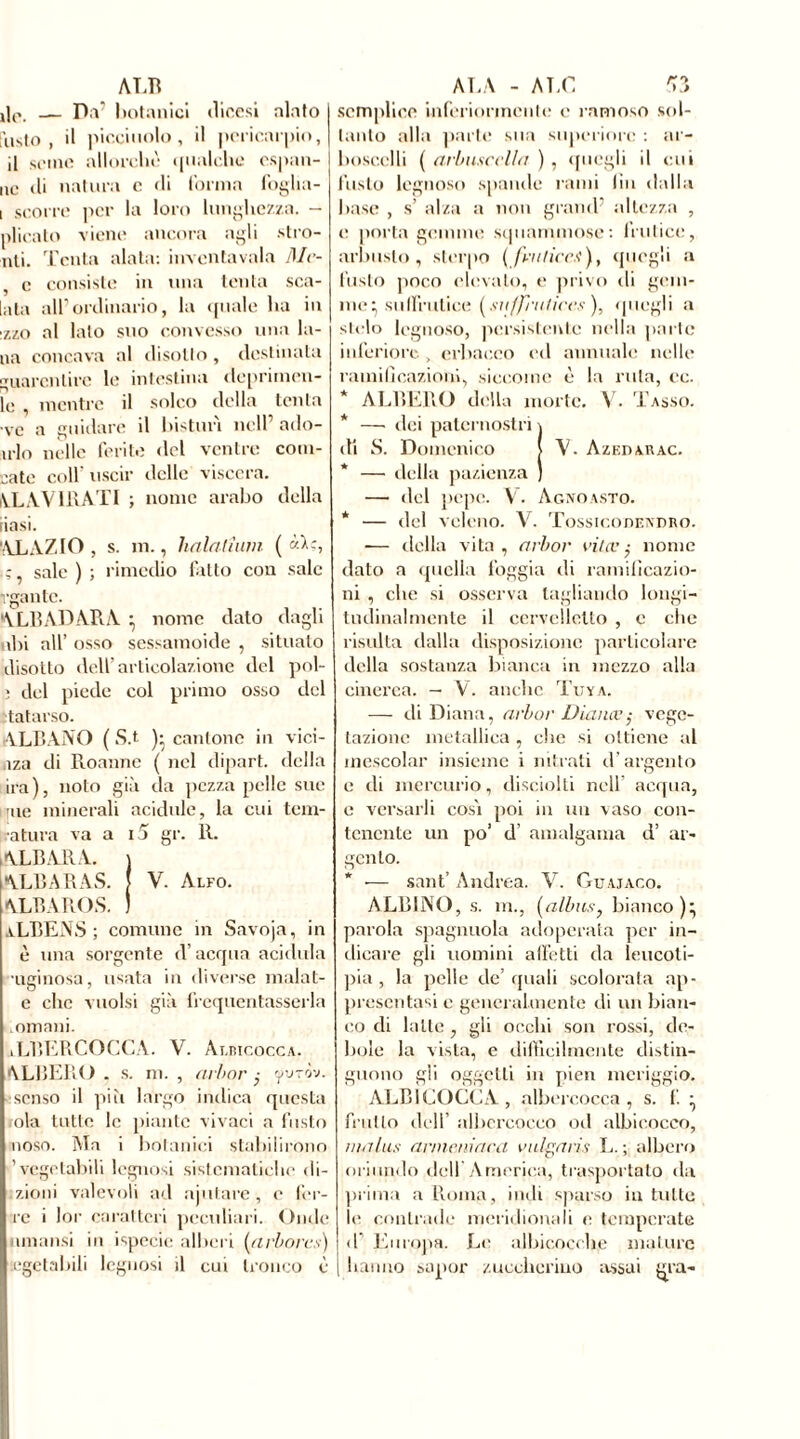 de. — Da’ botanici dicesi alnto fusto, il picciuolo, il pericarpio, il seme allorché qualche espon- ile di natura c «li forma foglia- i scorre per la loro lunghezza. - plicato viene ancora agli stro- nfi. Tenta alata: invcntavala Mc- , c consiste in una tenta sca- lala all’ordinario, la quale ha in :zzo al lato suo convesso una la- na concava al disotto , destinata guarentire le intestina deprimen- te , mentre il solco della tenta •ve a guidare il bisturi nell’ ado- trlo nelle ferite del ventre colli- mate colf uscir delle viscere. MAVÌ RATI ; nome arabo della finsi. ALAZIO, s. m., halalìum ( «M, sale ) ; rimedio fatto con sale rgante. ALBADARA • nome dato dagli dii all’ osso sessamoide , situato disotto dell’articolazione del pol- ; del piede col primo osso del tatarso. ALBANO ( S.t )• cantone in vici- nza di Roanne ( nel dipart. della ira), noto giù da pezza pelle sue ime minerali acidule, la cui tem- ratura va a i5 gr. R. ALBARA. \ ALBA RAS. f V- Alfo. ALBAROS. ) aLRENS ; comune in Savoja, in è una sorgente d’acqua acidula uginosa, usata in diverse malat- e che vuoisi giù frequentasserla .umani. tLBERCOCCA. V. Ai.mr.occA. ALBERO . s. ni. , cubar ■ yu-ròv. senso il più largo indica questa ola tutte le piante vivaci a fusto doso. Ma i botanici stabilirono 'vegetabili legnosi sistematiche di- zioni valevoli ad aiutare , e l’er- re i lor caratteri peculiari. Onde ammisi in ispecic alberi (arbores) tegetabili legnosi il cui tronco c semplice inferiormente e ramoso sol- tanto alla parte sua superiore : ar- boscelli ( arbiiscclln ) , quegli il cui fusto legnoso spanile rami liu dalla base , s’ alza a non grand’ altezza , e porta gemme sqnarnmosc: frutice, arbusto, sterpo (frutice..?), quegli a l’usto poco elevato, e privo di gem- me} suIfrutice ( sujfrulircs ), quegli a stelo legnoso, persistente nella parte inferiore , erbaceo ed annuale nelle ramificazioni, .siccome è la ruta, ce. * ALBERO della morte. V. Tasso. * — dei paternostri i di S. Domenico j V. Azedarac. * — della pazienza ) — del pepe. V. Agnoasto. * — del veleno. V. Tossicodendro. -— della vita, arbor vitee$ nome dato a quella foggia «li ramificazio- ni , che si osserva tagliando longi- tudinalmente il cervelletto , e che risulta dalla disposizione particolare della sostanza bianca in mezzo alla cinerea. — V. anche Tuya. — di Diana, arbor Diaiuv; vege- tazione metallica , che si ottiene al mescolar insieme i nitrati d’argento e di mercurio, disciolti nell acqua, c versarli cosi poi in un vaso con- tenente un po’ d’ amalgama d’ ar- gento. * •— sant’ Andrea. V. Guajaco. ALBINO, s. m., (albus, bianco)} parola spaglinola adoperata per in- dicare gli uomini affetti da leucoti- pia , la pelle de’quali scolorata ap- presentasi e generalmente di un bian- co di latte , gli occhi son rossi, de- bole la vista, e difficilmente distin- guono gii oggetti in pien meriggio. ALBICOCCA, albercocca , s. 1. } frullo dell’ albcrcocco od albicocco, ma lus armeni cica vulgatis L. ; albero oriundo dell America, trasportato da prima a Roma, indi sparso in tutte le contrade meridionali e temperate «1 Europa. Le albicocche mature | hanno sapor zuccherino assai j^ra-