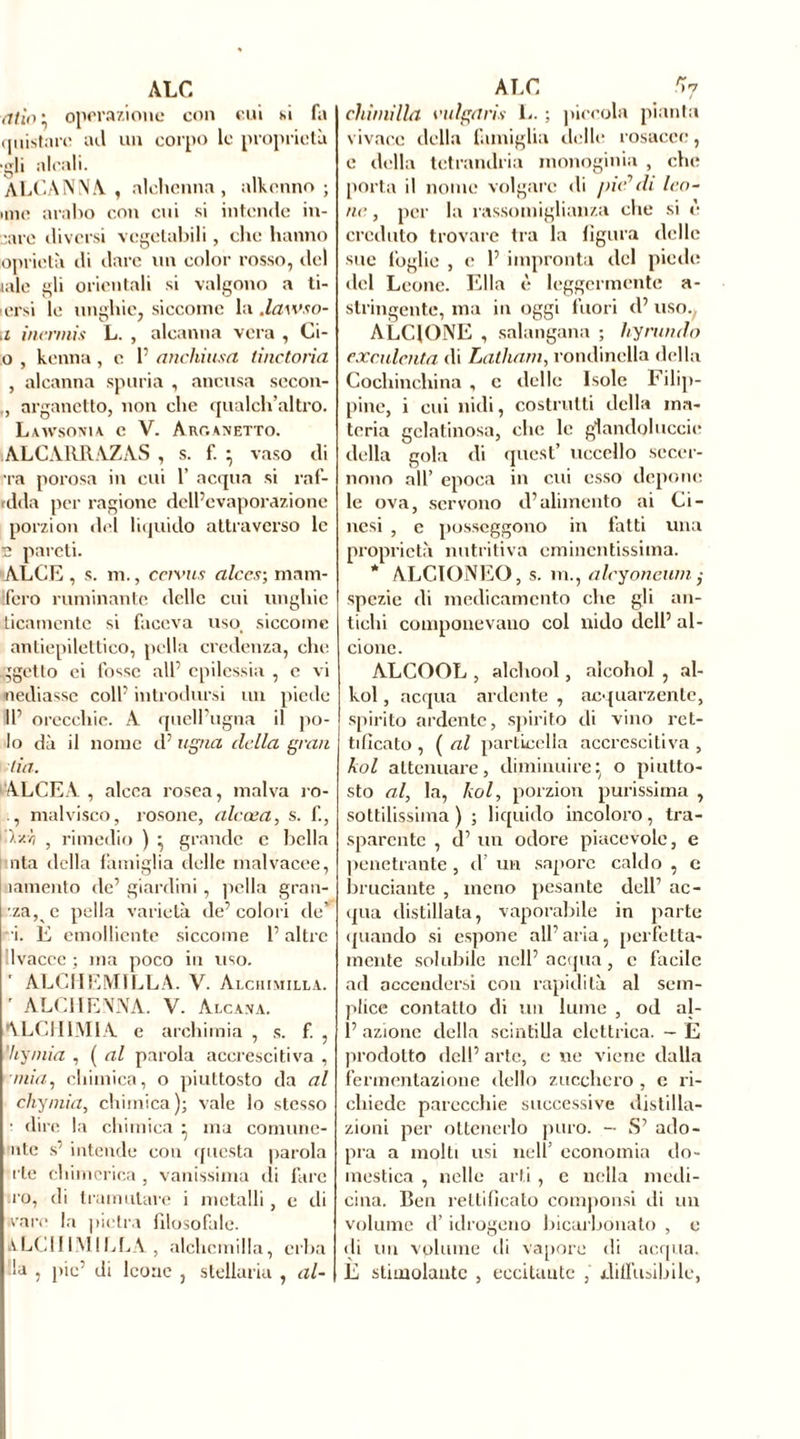 atioi operazione con cui si fa quistare ad un corpo le proprietà •gli alcali. ALCANNA , alchenna, alkenno ; uno arabo con cui si intende in- carc diversi vegetabili, che hanno oprietà ili dare un color rosso, del lale gli orientali si valgono a ti- icrsi le unghie, siccome la .lawso- ;i inennis L. , alcanna vera , Ci- o , kenna, e fi anchiusa tinctorìa , alcanna spuria , ancusa secon- ., arganetto, non che qualch’altro. Lawsonia c V. Arganetto. ALCARRAZAS , s. f. ; vaso di •ra porosa in cui 1’ acqua si raf- rdda per ragione dell’evaporazione porzion del liquido attraverso le 2 pareti. ALCE , s. m., ccrvus alccs; mam- Ifero ruminante delle cui unghie ticarnente si faceva uso, siccome antiepilettico, polla credenza, che aggetto ei fosse all’ epilessia , e vi «Tediasse coll’ introdursi un piede 11’ orecchie. A quell’ugna il po- lo dà il nome d’ ugna della ginn lia. ALCE A , alcca rosea, malva ro- ., malvisco, rosone, alecea, s. f., i-'/.'o , rimedio ) } grande c bella nta della famiglia delle malvacee, lamento de’ giardini , ]iella gran- •za, e polla varietà de’colori de’ i. E emolliente siccome l’altre lvacce ; ma poco in uso. ALCIIEMILLA. V. Alchimilla. r ALCHENNA. V. Alcan a. ALCHIMIA e archimia , s. f. , ’hymia , ( al parola accrescitiva , mia, chimica, o piuttosto da al chymia, chimica); vale lo stesso ■ dire la chimica • ma comune- ute s' intende con questa parola i le chimerica , vanissima di fare irò, di tramutare i metalli, e di vare la pietra filosofale. ALCHIMILLA , alchcmilla, erba -la , pie’ di leone , stellaria , al- ehiinilla valga ri,•> L. ; piccola pianta vivace della famiglia delle rosacee, e della tetrandria monoginia , che porta il nome volgare di pici’di Ico- ne , per la rassomiglianza che si è creduto trovare tra la figura delle sue foglie , e 1’ impronta del piede del Leone. Ella è leggermente a- stringentc, ma in oggi fuori d’ uso. ALCIONE , salangana ; hyrundo exculcnta di Latham, rondinella della Cochinchina , c delle Isole Filip- pine, i cui nidi, costrutti della ma- teria gelatinosa, che le glandolimele della gola di quest’ uccello secer- nono all’ epoca in cui esso depone le ova, servono d’alimento ai Ci- nesi , c posseggono in fatti una proprietà nutritiva eminentissima. * ALCIONEO, s. in., aleyoneum ,• spezie di medicamento che gli an- tichi componevano col nido dell’ al- cione. ALCOOL , alchool, alcohol , al- kol, acqua ardente , acquarzente, spirito ardente, spirito di vino ret- tificato , ( al particella accrescitiva , kol attenuare, diminuire} o piutto- sto al, la, kol, porzion purissima , sottilissima ) ; liquido incoloro, tra- sparente , d’ un odore piacevole, e penetrante, d’ un sapore caldo, c bruciante , meno pesante dell1 ac- qua distillata, vaporabile in parte (piando si espone all’aria, perfetta- mente solubile nell’ acqua, c facile ad accendersi con rapidità al sem- plice contatto di un lume , od ai- fi azione della scintilla elettrica. — E prodotto dell’ arte, e ne viene dalla fermentazione dello zucchero , e ri- chiede parecchie successive distilla- zioni per ottenerlo puro. — S’ ado- pra a molti usi nell5 economia do- mestica , nelle arti , e nella medi- cina. Ben rettificato compùnsi di un volume d’idrogeno bicarbonato , e di un volume di vapore di acqua. E stimolante , eccitante , diffusibile,