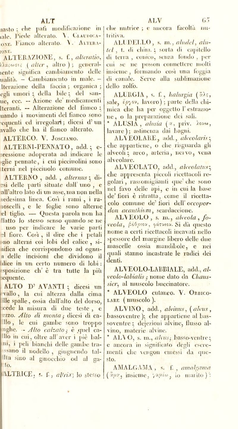 ALT iiasfo ; clic patì modificazione in mio. Diede alteralo. A ■ Llauhica- oke. Fianco alteralo. ì. Alteiia- [ONE. ALTERAZIONE, s. f., allentilo, Miçwffi* ( ulta', altro ) ; yeneral- iente significa cambiauicnto delle il alita. - Cambiamento in male. - Iterazione della l'accia ; organica ; egli umori } della bile} del sau- ne, ccc. — Azione de medicamenti Iteranti. -- Alterazione del banco : mando i movimenti del fianco sono icqucnti cd irregolari; diccsi d’ un avallo che ha il fianco alterato. ALTERCO. V. Josciamo. ALTERNI-PENNATO, add.; e- nressione adoperata ad indicare le .glie pennate, i cui picciuolini sono terni nel picciuolo comune. ALTERINO , add. , alt anus; di- ssi delle parti situate dall uno , c all'altro lato di un asse, ma non nella ledesiina linea. Così i rami , i ra- loscclli , c le foglie sono alterne ■cl tiglio. — Questa parola non lia (latto lo stesso senso quando se ne uso per indicare le varie parti si bore. Così , il dire che i petali .no alterni coi lobi del calice , si- nifica che corrispondono ad ognu- n delle incisioni che dividono il dice in un certo numero di lobi : •sposizione eh è tra tutte la più icquentc. ALTO D’ AVANTI • dicesi un •vallo, la cui altezza dalla cima Ile spalle, ossia dall’alto del dorso, .cede la misura di due teste , c .ezzo. Alto di monta $ dicesi di ca- llo , le cui gambe sono troppo nghc. - Alto calzalo,• è .quel ca- llo in cui, oltre all aver i piè bai- ai, i peli bianchi delle gambe tra- ssano il nodello , giugnendo tai- lla sino al ginocchio od al ga- io. ALTRI CE, s. 1'., aVrix; lo stesso ALV Lì che nutrice ; e ancora facoltà nu- tritiva. ALI DELLO, s. in., aiutici, alit- ici , t. di chini. ; sorta di capitello di terra , conico, senza fondo , per cui se no posson connettere molli insieme , formando così una foggia di canale. Serve alla sublimazione dello zolfo. ALLRGIA , s. f. , halurgia sale, e/^ov, lavoro) ; parte della chi- mica che ha per oggetto 1’ estrazio- ne , o la preparazione dei sali. * ALESI A, aiusi a («, priv. zovm, lavare ) ; astinenza dai bagni. ALVEOLARE, add., alvcolaris; che appartiene, o che risguarda gli alveoli; arco, arteria, nervo, vena alveolare. ALA EOLÀTO, add., alccolatus; clic apprestarla piccoli ricettacoli re- golari , rassomiglianli que che sono nel lavo delle api, e in cui la base de’bori è ritratta, come il ricetta- colo comune de’ bori dell occopor- don acanlhiiim, scardaccione. ALVEOLO, s. in., ah’co/a, fo- rcola, fsoOpi.o'j, o.«-iaov. Si dà questo nome a certi ricettacoli incavati nello spessore del margine libero delle due mascelle ossia mandibole, e nei quali stanno incastrate le radici dei denti. ALVEOLO-LABEIALE, add., al- veolo-labialis $ nome dato da Chaus- sier, al muscolo buccinatole. * ALVEOLO cutaneo. V. Or,cigo- lare ( muscolo ). ALVINO, add., alvinus, (alvus, bassoventre ); clic appartiene al bas- soventre ; dejezioni alvine, flusso al- vino, materie alvine. * ALA O, s. m., alcus; basso-ventre: e ancora in significato degli escre- menti che vengon emessi da que- sto. AMALGAMA, s. f. , amalgama («,«*, insieme, ; io mai ilo )ì