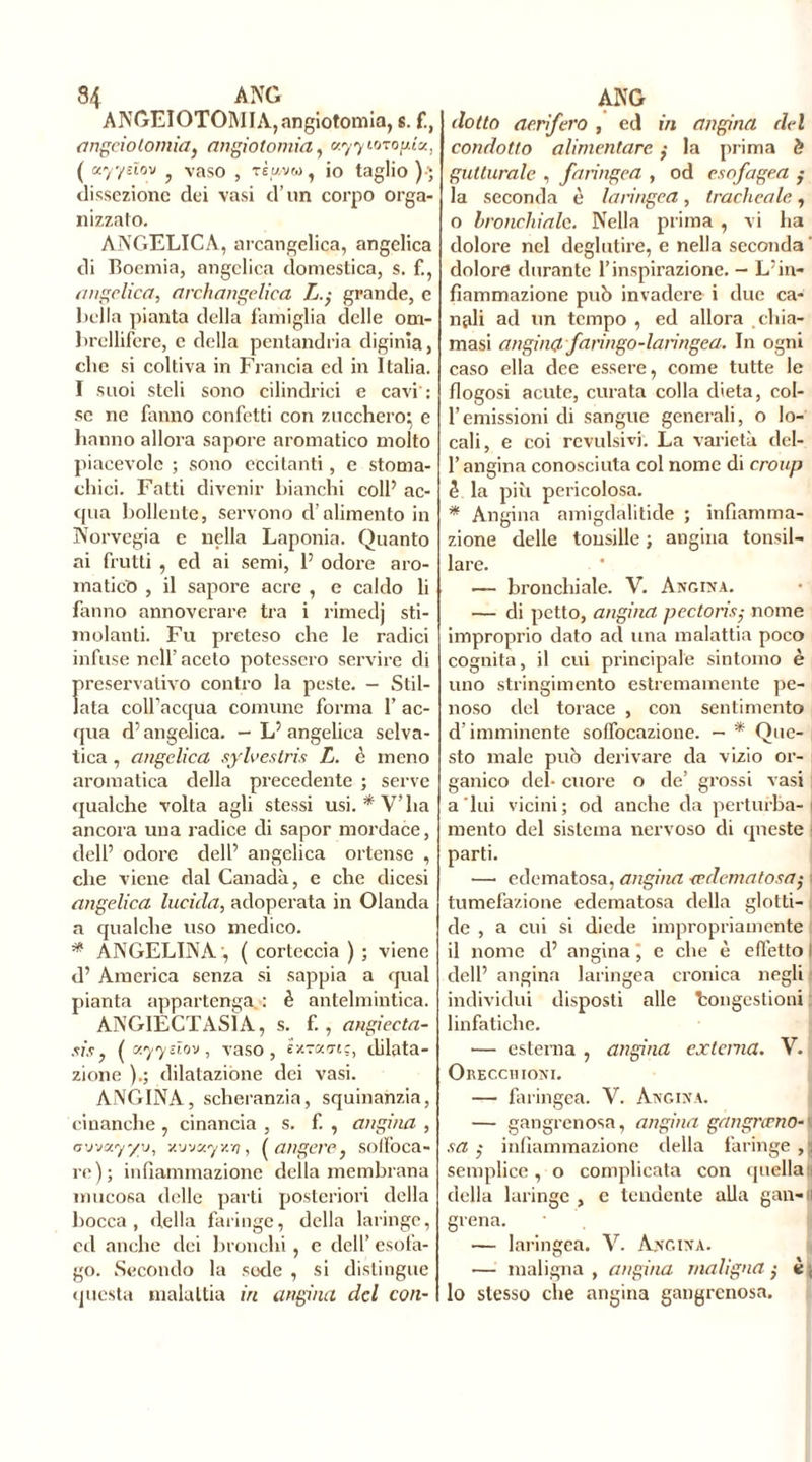 ANGEIOTOMIA,angiotomia, s. angciolomia, angiotomia, «77toropt'«, ( eoyydov f vaso , rÈw.vro, io taglio ); dissezione dei vasi d’un corpo orga- nizzato. ANGELICA, arcangelica, angelica di Boemia, angelica domestica, s. f., angelica, archangelica L.$ grande, e Bella pianta della famiglia delle om- brellifere, e della pentandria diginìa, clic si coltiva in Francia cd in Italia. I suoi steli sono cilindrici e cavi': se ne fanno confetti con zucchero; e hanno allora sapore aromatico molto piacevole ; sono eccitanti, e stoma- chici. Fatti divenir bianchi colf ac- qua bollente, servono d’alimento in Norvegia e nella Laponia. Quanto ai frutti , ed ai semi, fi odore aro- matici , il sapore acre , e caldo li fanno annoverare tra i rimedj sti- molanti. Fu preteso che le radici infuse nell’aceto potessero servire di preservativo contro la peste. - Stil- lata coll’acqua comune forma P ac- qua d’angelica. - L’ angelica selva- tica , angelica sylvestris L. è meno aromatica della precedente ; serve qualche volta agli stessi usi. * V’ ha ancora una radice di sapor mordace, dell’ odore dell’ angelica ortense , che viene dal Canada, e che dicesi angelica lucida, adoperata in Olanda a qualche uso medico. * ANGELINA ', ( corteccia ) ; viene d’ America senza si sappia a qual pianta appartenga : è antelmintica. ANGIECTAS1A, s. f., angieeta- xisy (xyysïov, vaso, èxTX'nc, dilata- zione ).; dilatazione dei vasi. ANGINA, scheranzia, squinanzia, cinanche, cinancia , s. f. , angina , avvxy/y, v.u'jxyv.n, ( aligere} soffoca- re); infiammazione della membrana mucosa delle parti posteriori della bocca, della faringe, della laringe, cd anche dei bronchi, e dell’ esofa- go. Secondo la sode , si distingue questa malattia in angina del con- dotto acrifero , ed in angina elei condotto alimentare. ,• la prima è gutturale , faringea , od esofagea ,• la seconda è laringea, tracheale, o bronchiale. Nella prima , vi ha dolore nel deglutire, e nella seconda ’ dolore durante l’inspirazione. - L’in- fiammazione può invadere i due ca- nali ad un tempo , ed allora chia- masi angina faringo-laringea. In ogni caso ella dee essere, come tutte le fiogosi acute, curata colla dieta, col- fi emissioni di sangue generali, o lo- cali, e coi revulsivi. La varietà del- l’angina conosciuta col nome di croup ê la più pericolosa. * Angina amigdalitide ; infiamma- zione delle tonsille ; angina tonsil- lare. — bronchiale. V. Angina. — di petto, angina pectorisnome improprio dato ad una malattia poco cognita, il cui principale sintomo è uno stringimento estremamente pe- noso del torace , con sentimento d’imminente soffocazione. — * Que- sto male può derivare da vizio or- ganico del- cuore o de’ grossi vasi a lui vicini; od anche da perturba-| mento del sistema nervoso di queste parti. •—• edematosa, angina <edematosa; I tumefazione edematosa della glotti- de , a cui si diede impropriamente il nome d’ angina, c che è effetto I dell’ angina laringea cronica negli individui disposti alle Longeslioni linfatiche. — esterna , angina extema. V. Orecchioni. — faringea. V. Angina. — gangrenosa, angina gangrœno- sa ,• infiammazione della faringe , semplice, o complicata con quella: della laringe , c tendente alla gan-ll glena. — laringea. V. Angina. — maligna , angina maligna ,• è | lo stesso che angina gangrcnosa.