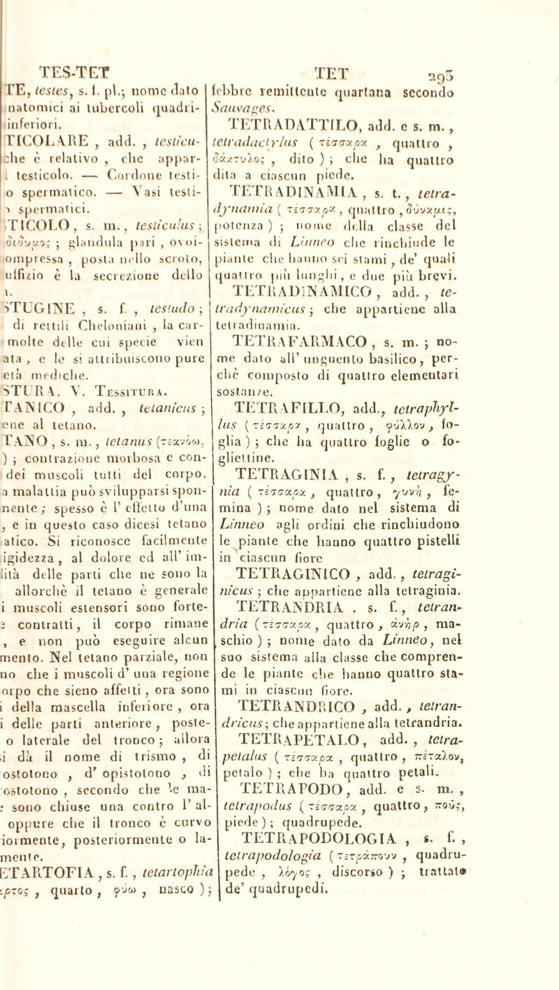 TES-TET TE, lestes, s. i. pl.j nome dato nalomici ai lubercoli cjuadi i- inferiori. PIGOLARE , add. , tcsticu- :he è relativo , che appar- 1 testicolo. — Cordone i est i - 0 spermatico. — Vasi testi- 1 spermatici. ■TICOLO, s. m., lesliculus ; òtòuua; ; gianduia pari , o\<>i- ompressa , posta nello scroto, uffizio è la secrezione dello \. àTUGlNE , s. f. , tes'.uilo ; di rettili Cheloniani , la car- molte delle cui specie vieti ata, e le si attribuiscono pure età mediche. STURA. V. Tessitura. E AN ICO , add. , tclanicus ; eoe al tetano. T.\NO , s. m., letanus (?c«vico, ) ; contrazione morbosa e con- dei muscoli tutti del corpo, a malattia può svilupparsi spon- nenle; spesso è belletto d’ima , e in questo caso dicesi tetano atico. Si riconosce facilmente igidezza , al dolore cd all’ ina- lila delle parli che ne sono la allorché il telano è generale 1 muscoli estensori souo forte- 2 contratti, il corpo rimane , e non può eseguire alcun mento. Nel tetano parziale, non no che i muscoli d’ uua regione orpo che sieno affetti , ora sono i della mascella inferiore , ora i delle parti anteriore, poste- o laterale del tronco ; allora ,i dà il nome di trisiilo , di ostotono , d’ opistotnno , di ostotono , secondo che ’-e ma- ; sono chiuse una contro 1’ al- oppure che il tronco è curvo ioi mente, posteriormente o la- mente. ETARTOFIA, s. f., teiartophut '.p-.oc , quatto , yvw , nasco ); TET a0~> febbre remittente quartana secondo Sauvages. TETRADATTILO, add. c s. m., leiradadrlus ( ■zzaaxpv. , quattro , Silvio; , dito ) ; che ha quattro dita a ciascun piede. TETRADINAMIA, s. t., tetra- dynatnìa ( séTaxpx , quattro ,5'jvxpu;, potenza ) ; nome della classe del sistema di Linneo clic rinchiude le piante che hanno sei stami , de’ quali quattro più lunghi, c due più brevi. TETRAD1N AMICO , add., tc- tradynamicus ; che appartiene alla teli adinamia. TETRA FARMACO, s. m. ; no- me dato all’unguento basilico , per- ché composto di quattro elementari sostanze. TETRAFILLO, add., tetraphyl- lus { -k'jxxpy , quattro, yùWov , fo- glia ) ; che lia quattro foglie o fo- glieltine. TETR AG INI A , s. f. , tetragy- nia ( tkvaxpx , quattro , yvv/i , fe- mina ) ; nome dato nel sistema di Linneo agli ordini che rinchiudono le piante che hauno quattro pistelli in ciascun fiore TETRAGINICO , add., teiragi- nicus ; che appartiene alla tetraginia. TETR AN BRI A . s. f., tetran- dria (ziuGxpa., quattro, dvhp , ma- schio); nome dato da Linneo, nel suo sistema alla classe che compren- de le piante che hanno quattro sta- mi in ciascun fiore. TETR AN Db ICO , add., telran- dricus; elle appartiene alla tetrandria. TETRaPETALO , add. , tetra- petalus ( tivjx.px , quattro , nssxlov, petalo ) ; che lia quattro petali. TETRAPODO, add. c s. m. , telrapodus ( -iaaxpx , quattro, roù^, piede); quadrupede. TETRAPODOLOGIA , S. f., tetrapodologia ( t-tprov» , quadru- pede , Irjyoç , discorso ) ; trattata de’ quadrupedi.