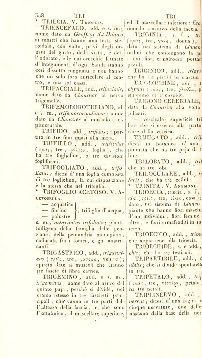 )o8 T 11 l * TRIECIA. V. TiuotciA. 1 il I EN CEFALO, add. e s. m. ;1 nome dato da Geoffroy S.l lliluire ai mostri che hanno una testa sfe- roidale , con volto, privi degli or- fani del gusto, della vista, e del 1 odorato, e le cui orecchie fermale d’ integumenti d’ogni banda stanno cosi dissono congiunti e noti hanno che un solo foro auricolare al cen- tro, c una sol cassa. TRIFACCIALE, add., trifncialis-, nome dato da Chaussier al nervo trigenoello. TRI ed il mascellare inferiore ; Esc nomalo sensitivo della faccia. TRIGINU , s. fi , tri (zp:i; , tre, yjvh , donna); I dato nel sistema di Linneo\ ordini che contengono la pi i cui fioii ermafroditi portati pistilli. i TRIGINICO , add., trigyrì che ha lie pistilli in ciascun j TRIGT.OCUINE, add., t chjrnus (-piitre, 7/.&1XL;, p sinonimo di tricuspide. TRIGONO CEREBRALE; TRIFEMOROROTULIANO, ad. e s. m. , trifeniororotulianus ; nome dato da Chaussier al muscolo trici- pitocrurale. TRIFIDO, add., trifulus ; ripar- tito in tre fino ctuasi alla metà. TRIFILLO , add. , iriphyllus ( rpsï; , tre , yj'ùo-j , foglia); che ha tre foglioline, o tre divisioni fogliformi. ^TRIFOGLIATO , add. , (rifa liatus ; diccsi d’ una foglia composta di tre foglioline, la cui disposizione è la stessa che nel trifoglio. * trifoglio acetoso, v. a- CETOSELLA. — acquatico! — librino V, trifoglio d’acqua, — palustre J s. in., menyanies trifolìatrr, pianta j indigena della famiglia delle gen- 1 ziane , della peniandria monoginia , j collocata fra i tonici, e gli amari- canti TRIGASTRICO, add., trigastri- cus ( ryi;, tre, youTT/ip, venire); epiteto dato ai muscoli che hanno tre fascie di fibre carnee. TRIGEMINO , add. e s. ni., t rigo minus ; nome dato al nervo del j (plinto paja , perchè si divide, nel cranio istesso in tre fasciciti prin- cipali , che* vanno in tre parti del- l’altezza della faccia, c clic sono 1’ oltalmico ; il mascellare supctiore, dato da Chaussier alla volta pilastri. — vcscicale ; supeificie tri lare che si osserva alla parte rime della vescica. TRIJUGATO , add. , triji dicesi in botanica d’ una piumata che ha tre paja dt f line. TRILOBATO, add., ini che ha tre lobi. TRILOCULARE, add., 1, laris ; che ita tre cellule. * TRINITÀ’. V. Anemone. TRIOECIA , triecia , s. f., eia ( -od; , tre , oìAx , casa ); dato , nel sistema di Linneo piante che hanno fiori maschi d’ un individuo , fiori femine altro , e fiori ermafroditi iti su terzo. TRIOECICO , add. , trioet che appartiene alla trioecia. TRIOR.CHIDE, s. e add., chis ; che ha ire testicoli. TRIPARTIBILE, add., t tibilis ; che si divide spontanea in tre. TRIPÈTALO , add. , trip (7 pd; , lie, 7rÌ7«/.o v, petalo ha tre petali. THIPf.lNERVO , add. , nervus ; dicesi d’ una foglia c ciotpie nervature, duo delle nascono dalla base della net