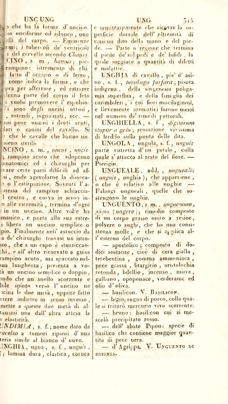, rotondi , inguaii)atj osi pure micini i jrJotiti 7 Si UNÇ UNV, i| j die lia la forma d’ uncino, so unciforme od adunco , uuq -di del carpo. — Etpmctize tipi; i tuberi oli <Je’ ventricoli i del cervello secondo C/uinss MINO , s m , liari 1 us-, pic- rajnpi.no: istruimmo di chi latto d’ acciaio o di ferro, nome indica la forma , c che pra per afferrare , ed estrarre Icona parte del corpo il feto i vuoisi promovere 1* espulsio ì i sono degli uncini ottusi , ecc. — acuti lari o canini del .cavallo. * che le cavalle che hanno un sieno sterili. NC(NO , s. m. , tincas , imeis ; rampino acuto cji.e adoprano anatomici ed 1 chirurghi per vare certe parti difficili ad af- si , onde agevolarne la disseca- î o l’estirpazione. Soventi 1’a- stessa del rampino schiaccia- 1 centro , e coiva in senso in- 0 alle estremità , termipa d'ogni in un uncino. Altre volte ha manico , e porta alla sua estre- 1 libera un uncino semplice o pio. Finalmente nell’ astuccio da a de’chirurghi trovasi un istro- ilo , che a un capo è stuzziccao- :hi, e all’ altro ricurvato a guisa rampino acuto, ma spaccato nel- ;ua lunghezza , presenta a vo- la un uncino semplice o doppio , ondo che uu anello scorrente e bile spinto verso 1’ uncino ne icina le due metà, oppure fatto rrere indietro in senso inverso, mette a queste due metà di al- lattarsi una dall’ altra attesa la > elasticità. U1SDIM!A , s. f. ; nome dato da ’acelso a tumori ripieni d’ una teria simile al bianco d’ uovo. unghia , ugna , s. f. , u\iguis , ; j lamina dura , clastica , cornea UJSG Zi 5 e S£fptitrasparente che tiçÿVjc Ja su- |>cificie dorsale (dell* ps'jl,trinità di ci.QS.cuu dito della mano e del pie- de. — Patte o regiope che termina il piede de’solipedi e de’ bifidi, la quale soggiace a quantità di difetti e malattie. UNGHIA di cavallo, pie’ d’ asi- no , s. f. , tussilqgo farfara ; piaula indigena , della singcnesia poliga- mia superflua, e della famiglia dei conmbifen , i coi fiori nmcilaginosi, e lievemente aromatici furono messi nel numero de’ rimedi pettorali. UNGI!IELLA, s. f , dìgitorum Stupor a gelu ; sensazione vivissima di freddo sulla punta delle dita. UNGOUÀ, ungula, s. f., unguis patte ristretta d’un petalo, colla quale s’ attacca al resto del fiore. — Plerigio. UNGUEALE . ad>)> , unguealis ( unguis , unghia )■, efie appartiene , o che è relativo alle unghie — Falangi ungueali , quelle che so- stengono le unghie. UNGUENTO, $. m. , unguentimi, pppo'j (ungere)-, rimedio composto di un corpo grasso mulo a resine, polvere o sughi, che ha ima consi- stenza molle , é che s‘ applica al- I’ esterno del corpo. — apostolico ; composto di do- dici sostanze , cioè di cera gialla , terebentina , gomma ammoniaca , pece grassa , litargirio , aristolochia rotonda , bdellio , incenso , mirra , galbano , opoponace , verderame ed olio d’oliva. — basilicon. AT. Basilicon. :— bigioj sugna di porco, colla qua- le si triturò mercurio vivo scorrente. — bruno : basilicou cui si me- scolò precipitato rosso. — dell’ abate Pipon: specie di basilico che contiene maggior quan- tità ui pece nera. — d5 Agrippa. V- Unguento m BrUONIA.