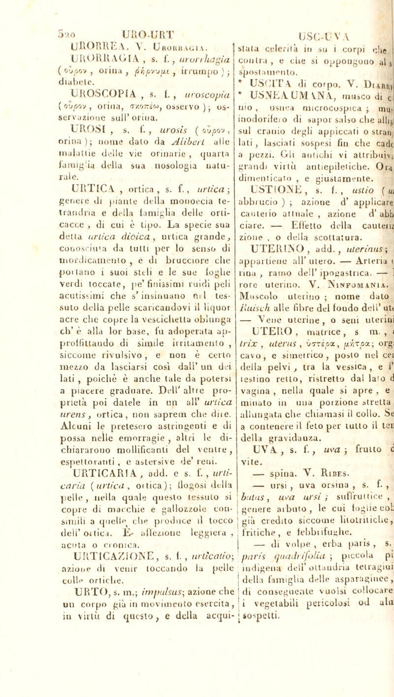 URORRE A. V. Urokkagia. URüRRAGIA , s. ï. f urunhagia ( ovpov , orina , pripvviu , irrumpo ) ; diabete. UROSCOPIA , s. f. , ta oscopia (oiipo-j, orina, <x/.07rs«, osservo ) ; os- servazione sull’orina. ÜROSI , s. f., urosis ( ovpo'j, orina); nome dato da Alibert alle malattie delle vie orinarie , quarta famiglia della sua nosologia natu- rale. URTICA , ortica, s. f., urtica ; genere di piante della mouoecia te- trandna e della famiglia delle orti- cacee , di cui è tipo. La specie sua detta unica dicica, urtica grande, conosciuta da tutti per lo senso di morJicamenio , e di brucciore che pollano i suoi steli e le sue foglie verdi toccate, pe’finissimi midi peli acutissimi che s’insinuano mi tes- suto della pelle scaricandovi il liquor acre che copre la vescichetta oblunga eh’ è alla lor base, fu adoperata ap- prolfittaudo di simile irritamento , siccome rivulsivo, e uon è certo mezzo da lasciarsi così dall’ un dei lati , poiché è anche tale da potersi a piacere graduare. Dell' altre pro- prietà poi datele in un all’ unica urens, ortica, non saprem che due. Alcuni le pretesero astringenti e di possa nelle emorragie , altri le di- chiararono mollificanti del ventre, espettoranti , e astersive de’ reni. URTfCARfA, add. e s. f., uni- ca ria (urtica, oitica); llogosi della pelle , nella quale questo tessuto si copre di macchie e gallozzole con- simili a quelle che produce il tocco dell’ortica. E- affezione leggiera, acuta o cronica. URTICAZIONE, s. f. , urtìcatio; azione di venir toccando la pelle colle ortiche. URTO, s. in.; irupulsus-, azione che un corpo già in movimento esercita, in virtù di questo, e della acqui- ÜSC-U V A stata celerilà in su i corpi die conira, e che si oppongono al s, spostamento. * USUi r A di corpo. V. Diarm * USNEÀ UM V.N A, musco di c tuo , usuea nncrocospica ; tnm inodorifero di sapor salso che alili sul cranio degli appiccati o strali; lati, lasciali sospesi fin che cade a pezzi. Gli antichi vi attribuivi grandi virtù antiepileiicbe. Ora dimenticato , e giustamente. USTIONE , s. f. , astio ( ui abbiucio ) ; azione d’ applicare cauteiio attuale , azione d’abb tiare. — Ellétto della cauteuz zinne . o della scottatura. UTERINO, add., uierinus ; appartiene all’ utero. — Arteria u fina , ramo dell’ ipogastrica. — 1 rore uterino. V. Ninfomanìa. Muscolo uterino ; nome dato iluisch alle fibre del foudo dell’ ute — Vene uterine, o seni uterini UTERO, matrice, s m. , i trix , utérus, i/7zépx, fxhzpx; orgi cavo, e simetrico, posto nel cei della pelvi , tra la vessica , e 1’ testino retto, ristretto dal lam d vagina , nella quale si apre , e minato in una porzione stretta allungata che chiamasi il collo. Se a contenere il feto per tutto il ter della gravidauza. UVA, s. f., uva ; fruito d vite. — spina. V. Ribes. — ursi , uva orsina , s. f. , butas, uva arsi; suffrutice , genere arbuto, le cui foglie cob già credilo siccome litoti niche, frit ielle , e febbiifughe. — di volpe , erba paris , s. paris quadi ifolia ; piccola pi indigena deli’ oltaiidria letragiui della famiglia delle asparagiuee, di conseguente vuoisi collocare i vegetabili pericolosi od ala sospetti.