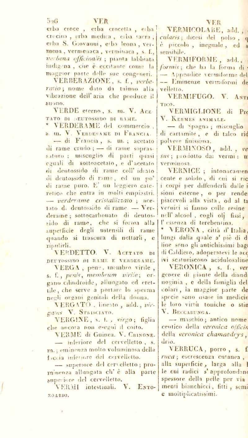 3 7.0 VER erba croce , erba crocetta , ciba ciecina , erba medica , ciba 'aera , erba S. Giovarmi, efba leona ver- mena , vermeaaca , venninaca , s. ve. frena ojfìeinalis ; pianta bilabiata indigena , ciie è eccitatile come la marier parte delle sue congeneri. VERI’,ERAZIONE, s. f., nerbe- rai io ; nome duo da taluno alla vibrazione dell’ aria che produce il suono. VERDE e'erno , s. ni. V. Ace TATO 01 : lEUTOSSI DO DI GAME. * VERDERAMI- del commercio , b m. V. Verderame di Francia. -— di Francia, s. m. ; acetato di rame crudo ; — di rame sopras- saturo ; miscuglio di parti quasi eguali di soltoacetalo, e d’acetato «li deutossido di rame coll’ idiaio di dcutossido di rame, ed un po’ di rame puro. K’ un leggiero catc- retico che entra in molli empiasi ri. — verderame cristallizzalo ; ace- tato d. deutossido rii rame — Ver- derame ; sottocarhonalo rii deulos- sido di rame, che si forma alla superficie degli nslensili di rame quando si trascura di nettarli , e ripulirli. VERDETTO. V. Acetato di DEI'TOSSIDO DI RAME E VERDERAME. VERGA, pene, membro virile , s. f. , prnis, memhrum virile; or- gano cilindroide, allungato od eret- tile, che serve a portare lo sperma negli organi genitali della donna. A ERG STO . lineato , add. , vie- tativi V. Strisciato. VERGINE, s. I. , virgo; figlia che ancora non esegui il coito. VERME di Guinea. V. Orinone. — interiore del cervelletto , s. ni. ; eminenza molto voluminosa della {ict.ia inlenore del cervelietto. — superiore del cmclletto; pro- minenza allungata eh’ c alla parte superiore del cervelletto. VERMI intestinali. V. Ento- ZOARIO. V ER VERMICOLARE, add. , , cularis ; dicesi del polso , q è piccolo , ineguale , ed a sensibile. VERMIFORME, add., , forni is ; che ha la forma di \ — Appendice \ errnifoi me del — Eminenze vermi formi de I vellelio. 1 VERMIFUGO. V. Ant. 1 T1CO. VERMIGLIONE di Pie V. Kermes animare. — di Spagna ; miscuglio di cartamite , e di talco lid i polvere finissima. VERMINOSO, add., re | sus ; prodotto dat vermi : ni I verminosa. ! VERNICE ; intonacamen , cetile e solido , di rni si rie i corpi per diffonderli dalle i sioni esterne, o per rendei piacevoli alla vista . od al ta vernici si fanno colle resine nell'alcool , cogli olj fissi, I’ essenza di terebentina. * \ERONA . città d’ Italia, lungi dalla quale a’ piè di d line sono gli antichissimi bagi di Caldiero, adoperatevi le acrj ivi scaturiscono acidulosaline VERONICA s. f., ver genere di piante della diandi noginia , e della famiglia del coìan , la maggior parte de specie sono osaie in medichi le loro viri ir toniche o siiti V. Beccabunga. —■ maschio; antico nome ceutico della veronica officili della veronica chamaedrjs, drio. VERRUCA, porro, s. f. enea ; escrescenza cutanea , alla supetficie, larga alla 1 le cui radici s’ approfondnnr spessore della pelle per via memi bianchicci, fitti, semi e moltiplicalissimi.