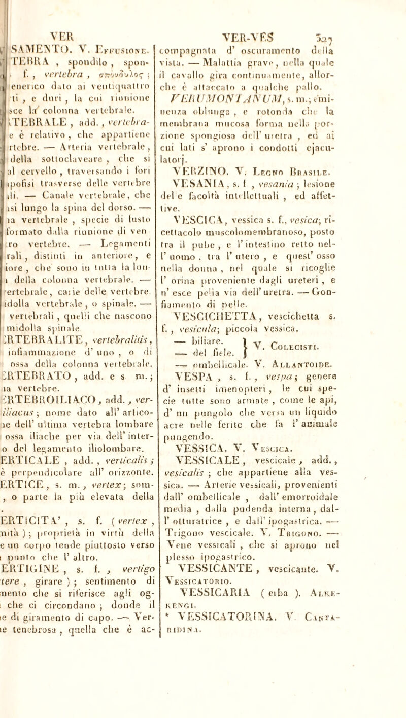 VER j SAMENTO. V. E KFUSIONE. i* l’EBR A , spondilo , spon- ii. f. , vertebra , crrovov'/oç ; , enerico dato ai ventiquattro I ti , e duri , la coi riunione [3 sce la colonna vertebrale. lìTEBRALE , add. , vertebra- e è relativo , che appartiene : rtebre. — Arteria vertebrale, Ì della soltoclaveare , che si al cervello, traversando i lori ipotisi trasverse delle vertebre s di. — Canale vertebrale, die j a si lungo la spina del dorso. — ìa vertebrale , specie di Insto formato dalla riunione di ven ro vertebre. — Legamenti rali , distinti in anteriore, e iore , die sono in lotta la lun- 1 della colonna vertebrale. — ertebrale, caiie delle vertebre, idolla vertebrale , o spinale. — vertebrali , quelli che nascono midolla spinale 1RTEBRALITE, vertebralìiìs, infiammazione d’ uno , o di ossa della colonna vertebrale. ÜRTEBRATO, add. c s ni.; la vertebre. ÏÏRTEBROILIACO, add., ver- iliacuv ; nome dato all’ artico- 1e dell’ ultima vertebra lombare ossa iliache per via dell’inter- o del legamento iliolombare. ERTICELE , add., verlica/is ; è perpendicolare all’ orizzonte. EPiTìCE, s. ni., verte:r; som- , o parte la più elevata della ERTiClTV , s. f. ( verter , ruta ) ; proprietà in virtù della e un corpo tende piuttosto verso 1 punto che 1’ altro. ERTIGINE , s. f. , verligo tere , girare ) ; sentimento di mento che si riferisce agli og- che ci circondano ; donde il ie di giramento di capo. —- Ver- te tenebrosa , quella che è ac- VER-V ES 3a7 compagnnta d’ oscuramento della vista. —Malattia grave, nella quale il cavallo gira continuamente, allor- ché è attaccalo a qualche palio. F ERU MON UNUM, s. ni.; emi- nenza oblunga , e rotonda che la membrana mucosa forma nella por- zione spongiosa dell' uretra , ed ai cui lati s’ aprono i condotti cjacu- latorj. VERZINO. V. Lfc.no Brasile. VESAN l A , s. I , vesania ; lesione del e facoltà intellettuali , ed affet- tive. VESCICA, vessica s. f., vcsica-, ri- cettacolo muscolomembranoso, posto tra il pube, e l’intestino retto ncl- 1’ uomo . tra 1’ utero , e quest’ osso nella donna , nel quale si ricoglie 1’ orina proveniente dagli ureteri , e 11’esce pelia via dell’uretra.—Gon- fiamento di pelle. VESCICHETTA, vescichetta s. f. , vesicnla; piccola vessica. — biliare. 1 ,r r — i)el fiele. 1 V' C'-“'STI- — ombelicale. V. Allantoïde. VESPA , s. I. , vespa ; geoere d’ insetti imenopleri , le cui spe- cie tutte sono armate , come le api, d’ un pungolo che versa un liquido acie rielle ferite che fa l’animale pungendo. VESSICA. V. Vescica. VESSICALE , vescicale , add., vesica/is ; che appartiene alla ves- sica. — Arterie vessicali, provenienti dall’ ombelicale , dall’ emorroidale media , dalla pudenda interna , dal- 1’ otturatrice , e dall’ ipogastrica. — Trigono vescicale. V. Trigono. — Vene vessicali , che si aprono nel plesso ipogastrico. VESCICANTE , vescicante. V. Vessicatorio. VESSICARIA ( ciba ). Alke- KENGl. * V ESSICATOR INA. V C anta- ridi NI.