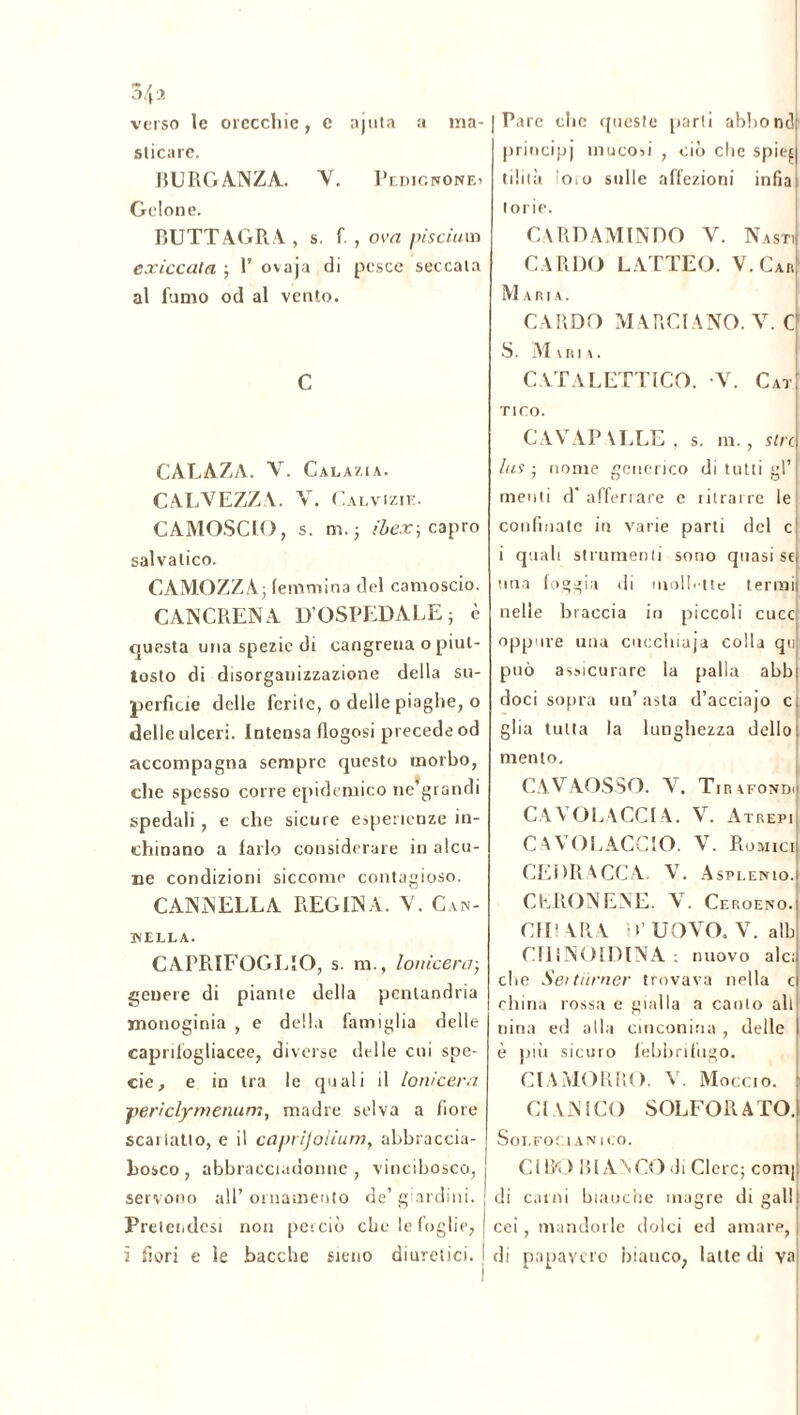 342 verso le orecchie, c ajula a ma- sticare. BURGANZA. Y. Pldicnone. Gelone. RUTTAGRA, s. f. , ova pisciava exiccata ; 1’ ovaja di pesce seccata al fumo od al vento. C CALAZA. V. Calazi a. CALVEZZA. Y. Calvizie. CAMOSCIO, s. m.j ibex-, capro salvalico. CAMOZZA; femmina del camoscio. CANCRENA D’OSPEDALE; è questa una spezie di cangrena o piut- tosto di disorganizzazione della su- perficie delle ferite, o delle piaghe, o delle ulceri. Intensa flogosi precede od accompagna sempre questo morbo, che spesso corre epidemico ne’grandi spedali , e che sicure esperienze in- chinano a farlo considerare in alcu- ne condizioni siccome contagioso. CANNELLA REGINA. Y. Can- cella. CAPRIFOGLIO, s. m., lonicera; genere di piante della penlandria ïnonoginia , e della famiglia delle caprtlogliacee, diverse delle cui spe- cie, e in tra le quali il lonicera jperìclymenum, madre selva a fiore scai latto, e il caprijolium, abbraccia- bosco, abbracciadonne , vincibosco, servono all’ornamento de’giardini. Pretetidesi non perciò che le foglie, ï fiori e le bacche sieno diuretici. Pare clic queste parli abbond principi mucosi , ciò che spieg tibia O10 sulle affezioni infia| torie. CARDAMINDO V. NastJ CARDO LATTEO. V.Car! Maria. CARDO MARCIANO. V. C S. Maria. CATALETTICO. V. Cat tico. CAVAP ALLE , s. m., sire| lus ; nome generico di tutti gl’ menti d' afferrare e ritrarre le confinate in varie parti del c! i quali strumenti sono quasi se una foggia di mollette termi nelle braccia io piccoli cuce oppure una cucchiaia colla qui può assicurare la palla abbi doci sopra un’asta d’acciajo c. glia tutta la lunghezza dello: mento. CAVAOSSO. V. Tir afono.. CAVOLACCLA. Y. Atrepi COVOLACCIO. V. Rumici. CEDRACCA. V. Asplenio.i CERONENE. V. Ceroeno.i CH’ ARA D’UOVO. V. alb CTHNOIDINA nuovo alci che Seitiirner trovava nella c china rossa e gialla a canto all nina ed alla cinconina , delle I è più sicuro febbrifugo. CI A MORRÒ. Y. Moccio. CIANICO SOLFORATO.! Sol. FOCI ANlCO. CIBO BIANCO di Clerc; coni] di carni bianche magre di galli cei, mandorle dolci ed amare, di papavero bianco, latte di va|