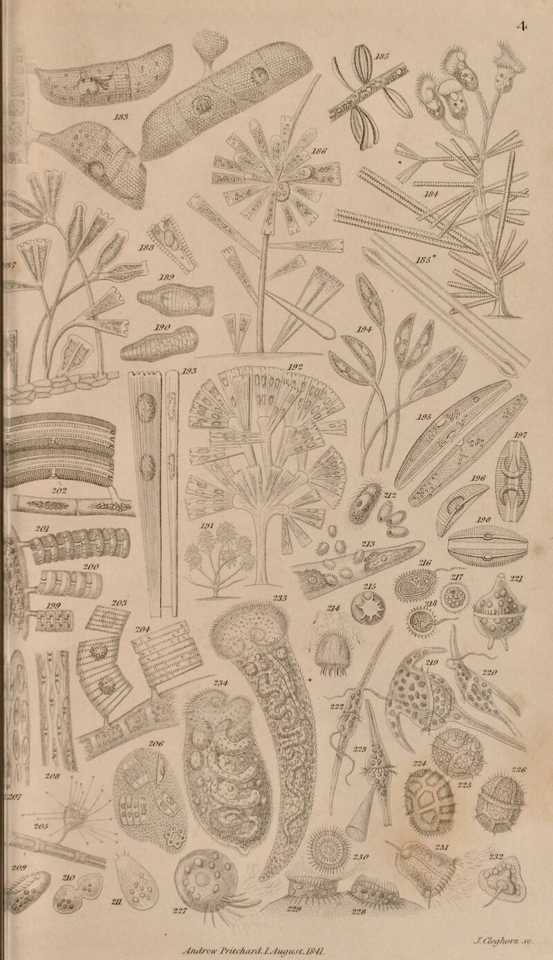 V TT^tnTuITTrr:: 'i’n'v^' ^V^»//, /.('/•v/iorf! ■l/i//rriv /*n/r/ifin/. /.. //'/////.»/, //»'//.