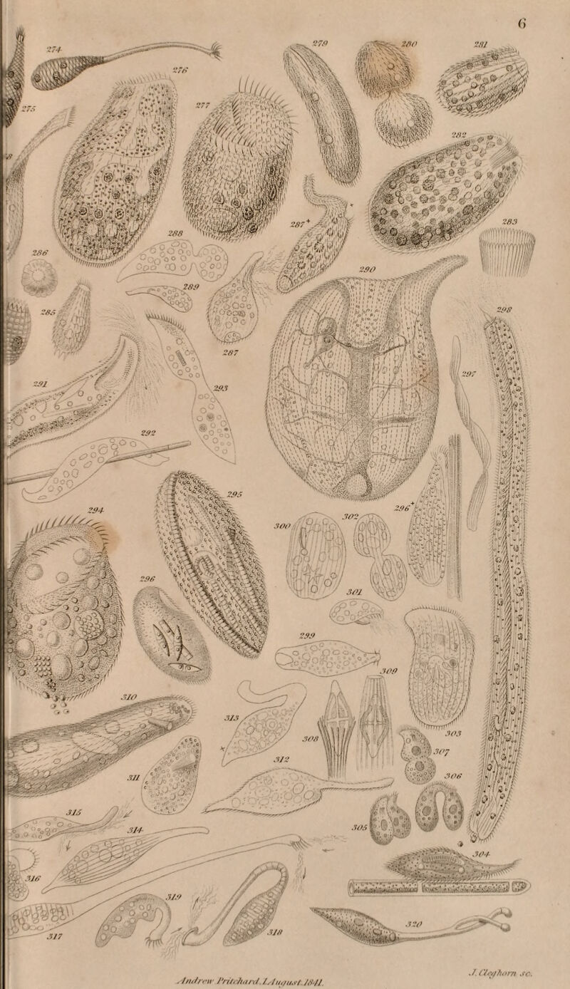 iauu) tf'iies:. ./ (Vivf/iorn .IV. l/i,ln-iv /•li/r/hinl. /.^hioii.tl. J/l/J.