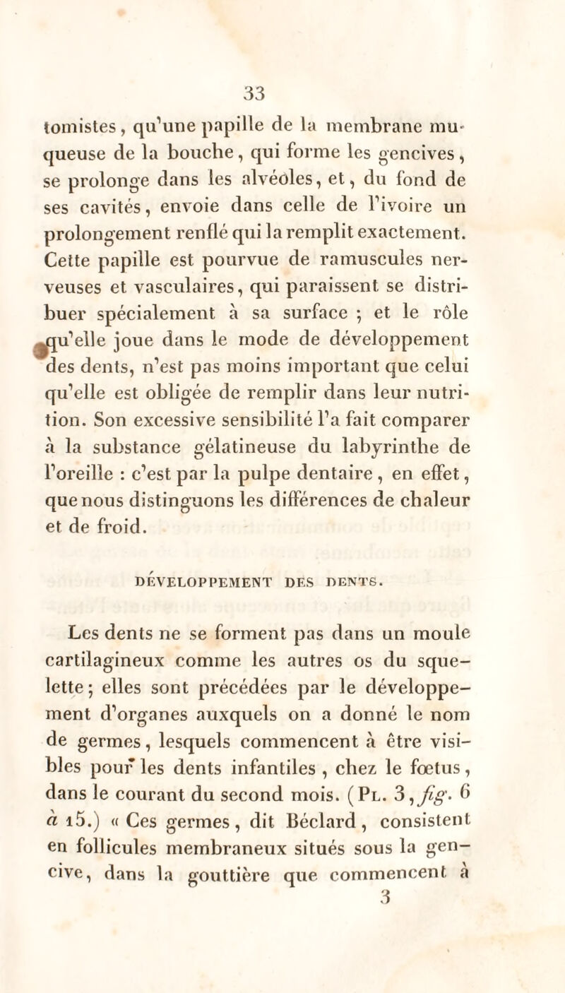 tomistes, qu’une papille de la membrane mu¬ queuse de la bouche , qui forme les gencives , se prolonge dans les alvéoles, et, du fond de ses cavités, envoie dans celle de l’ivoire un prolongement renflé qui la remplit exactement. Cette papille est pourvue de ramuscules ner¬ veuses et vasculaires, qui paraissent se distri¬ buer spécialement à sa surface ; et le rôle ^qu’elle joue dans le mode de développement des dents, n’est pas moins important que celui qu’elle est obligée de remplir dans leur nutri¬ tion. Son excessive sensibilité l’a fait comparer «à la substance gélatineuse du labyrinthe de l’oreille : c’est par la pulpe dentaire , en effet, que nous distinguons les différences de chaleur et de froid. DÉVELOPPEMENT DES DENTS. Les dents ne se forment pas dans un moule cartilagineux comme les autres os du sque¬ lette ; elles sont précédées par le développe¬ ment d’organes auxquels on a donné le nom de germes, lesquels commencent à être visi¬ bles pouf les dents infantiles , chez le foetus , dans le courant du second mois. (Pl. 3 6 à i5.) « Ces germes, dit Béclard, consistent en follicules membraneux situés sous la gen¬ cive, dans la gouttière que commencent a 3