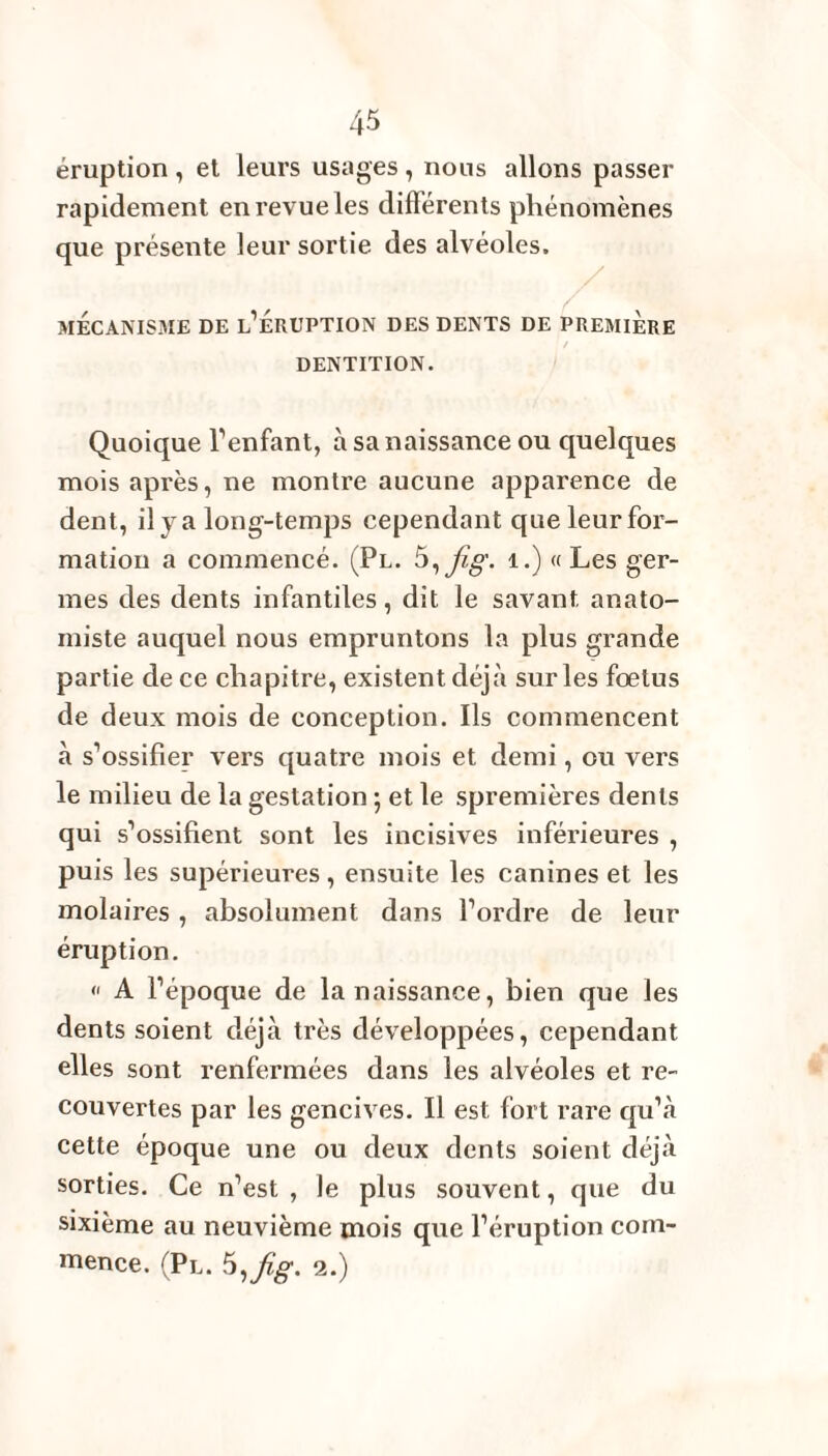 éruption, et leurs usages, nous allons passer rapidement enrevueles différents phénomènes que présente leur sortie des alvéoles. MECANISME DE l’ÉRUPTION DES DENTS DE PREMIERE DENTITION. Quoique l'enfant, à sa naissance ou quelques mois après, ne montre aucune apparence de dent, il y a long-temps cependant que leur for¬ mation a commencé. (Pl. 5, fig. 1.) « Les ger¬ mes des dents infantiles, dit le savant anato¬ miste auquel nous empruntons la plus grande partie de ce chapitre, existent déjà sur les fœtus de deux mois de conception. Ils commencent à s'ossifier vers quatre mois et demi, ou vers le milieu de la gestation ; et le spremières dents qui s'ossifient sont les incisives inférieures , puis les supérieures, ensuite les canines et les molaires, absolument dans l’ordre de leur éruption. « A l’époque de la naissance, bien que les dents soient déjà très développées, cependant elles sont renfermées dans les alvéoles et re¬ couvertes par les gencives. Il est fort rare qu’à cette époque une ou deux dents soient déjà sorties. Ce n’est , le plus souvent, que du sixième au neuvième mois que l’éruption com¬ mence. (Pl. 5,jîg. 2.)