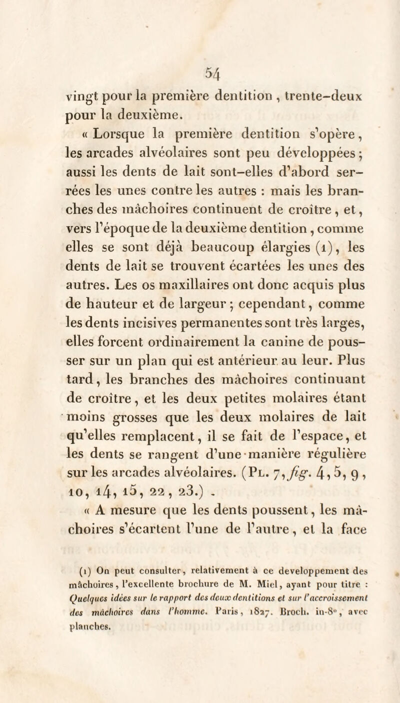 vingt pour la première dentition , trente-deux pour la deuxième. « Lorsque la première dentition s’opère, les arcades alvéolaires sont peu développées ; aussi les dents de lait sont-elles d’abord ser¬ rées les unes contre les autres : mais les bran¬ ches des mâchoires continuent de croître, et, vers l’époque de la deuxième dentition, comme elles se sont déjà beaucoup élargies (1), les dents de lait se trouvent écartées les unes des autres. Les os maxillaires ont donc acquis plus de hauteur et de largeur ; cependant, comme les dents incisives permanentes sont très larges, elles forcent ordinairement la canine de pous¬ ser sur un plan qui est antérieur au leur. Plus tard, les branches des mâchoires continuant de croître, et les deux petites molaires étant moins grosses que les deux molaires de lait qu’elles remplacent, il se fait de l’espace, et les dents se rangent d’une manière régulière sur les arcades alvéolaires. (Pl. 74 5 5, 9 , 10, 14, i5, 22, 23.) . « A mesure que les dents poussent, les mâ¬ choires s’écartent l’une de l’autre, et la face (1) On peut consulter, relativement à ce développement des mâchoires, l’excellente brochure de M. Miel, ayant pour titre : Quelques idées sur te rapport des deux dentitions et sur l’accroissement des mâchoires dans l’Iiommc. Paris, 1827. Broch. in-8, avec planches.