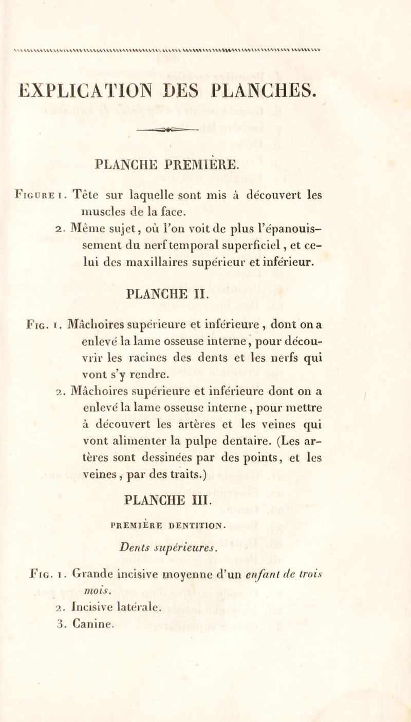 \\\\.V\V\\V\\,VVVV\\V\VVV\\W\V\V\VV\VVWV\V\\\ www vwvwvv\w\vww\vwvv\ WVWUW WVWWV» EXPLICATION DES PLANCHES. PLANCHE PREMIÈRE. Figure i. Tête sur laquelle sont mis à découvert les muscles de la face. 2. Même sujet, où l’on voit de plus l’épanouis¬ sement du nerf temporal superficiel, et ce¬ lui des maxillaires supérieur et inférieur. PLANCHE II. Fig. i. Mâchoires supérieure et inférieure, dont on a enlevé la lame osseuse interne, pour décou¬ vrir les racines des dents et les nerfs qui vont s’y rendre. 2. Mâchoires supérieure et inférieure dont on a enlevé la lame osseuse interne, pour mettre à découvert les artères et les veines qui vont alimenter la pulpe dentaire. (Les ar¬ tères sont dessinées par des points, et les veines , par des traits.) PLANCHE III. PREMIÈRE DENTITION. Dents supérieures. Fig. i . Grande incisive moyenne d’un enfant de trois mois. 2. Incisive latérale. 3. Canine.