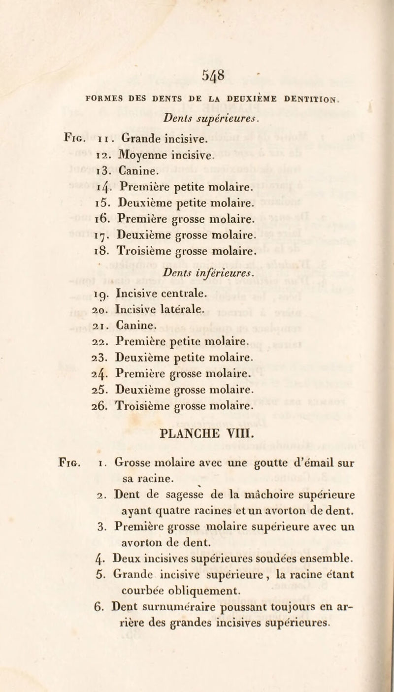 FORMES DES DENTS DE LA DEUXIEME DENTITION. Dents supérieures. Fig. i i. Grande incisive. 12. Moyenne incisive 13. Canine. 14. Première petite molaire. 15. Deuxième petite molaire. 16. Première grosse molaire. 17. Deuxième grosse molaire. 18. Troisième grosse molaire. Dents inférieures. ic). Incisive centrale. 20. Incisive latérale. 21. Canine. 22. Première petite molaire. 23. Deuxième petite molaire. 24. Première grosse molaire. 25. Deuxième grosse molaire. 26. Troisième grosse molaire. PLANCHE VIII. Fig. 1. Grosse molaire avec une goutte d’émail sur sa racine. 2. Dent de sagesse de la mâchoire supérieure ayant quatre racines et un avorton de dent. 3. Première grosse molaire supérieure avec un avorton de dent. 4. Deux incisives supérieures soudées ensemble. 5. Grande incisive supérieure, la racine étant courbée obliquement. 6. Dent surnuméraire poussant toujours en ar¬ rière des grandes incisives supérieures.