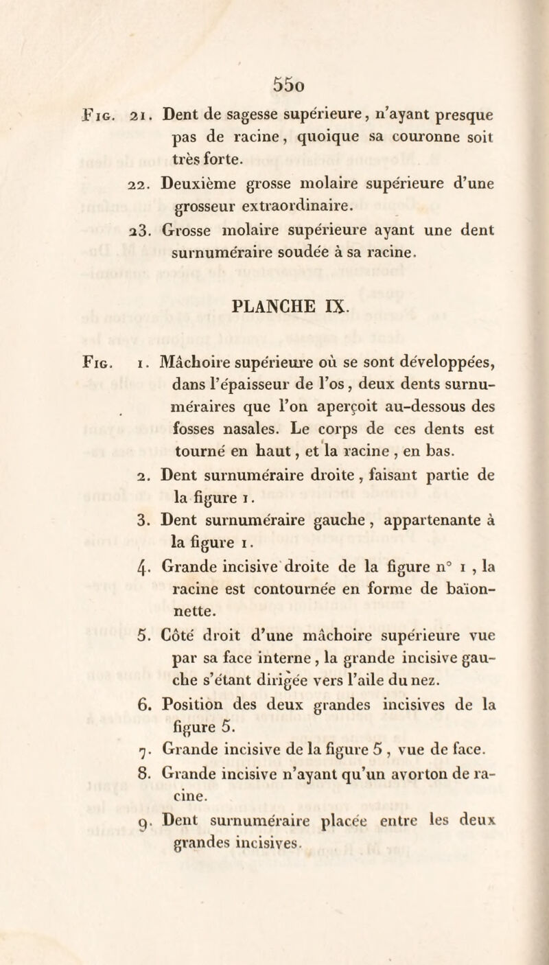 Fig. 21. Dent de sagesse supérieure, n’ayant presque pas de racine, quoique sa couronne soit très forte. 22. Deuxième grosse molaire supérieure d’une grosseur extraordinaire. a3. Grosse molaire supérieure ayant une dent surnuméraire soudée à sa racine. PLANCHE IX. Fig. 1. Mâchoire supérieure où se sont développées, dans l’épaisseur de l’os, deux dents surnu¬ méraires que l’on aperçoit au-dessous des fosses nasales. Le corps de ces dents est tourné en haut, et la racine , en bas. 2. Dent surnuméraire droite, faisant partie de la figure i. 3. Dent surnuméraire gauche, appartenante à la figure i. 4- Grande incisive droite de la figure n° 1 , la racine est contournée en forme de baïon¬ nette. 5. Côté droit d’une mâchoire supérieure vue par sa face interne, la grande incisive gau¬ che s’étant dirigée vers l’aile du nez. 6. Position des deux grandes incisives de la figure 5. 7. Grande incisive de la figure 5 , vue de face. 8. Grande incisive n’ayant qu’un avorton de ra¬ cine. q. Dent surnuméraire placée entre les deux grandes incisives.