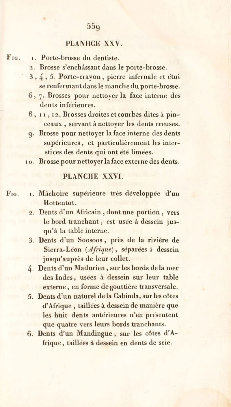 PLANHCE XXV. Fig. i. Porte-brosse du dentiste. 2. Brosse s’enchâssant dans le porte-brosse. 3,4 » 5. Porte-crayon, pierre infernale et étui se renfermant dans le manche du porte-brosse. 6,7. Brosses pour nettoyer la face interne des dents inférieures. 8 , 11,12. Brosses droites et courbes dites à pin¬ ceaux , servant à nettoyer les dents creuses, g. Brosse pour nettoyer la face interne des dents supérieures , et particulièrement les inter¬ stices des dents qui ont été limées. 10. Brosse pour nettoyer la face externe des dents. PLANCHE XXVI. Fig. 1. Mâchoire supérieure très développée d’un Hottentot. 2. Dents d’un Africain , dont une portion , vers le bord tranchant, est usée à dessein jus¬ qu’à la table interne. 3. Dents d’un Soosoos , près de la rivière de Sierra-Léon (Afrique), séparées à dessein jusqu’aupiès de leur collet. 4- Dents d’un Madurien , sur les bords delà mer des Indes, usées à dessein sur leur table externe, en forme de gouttière transversale. 5. Dents d’un naturel de la Cabinda, sur les côtes d’Afrique , taillées à dessein de manière que les huit dents antérieures 11’en présentent que quatre vers leurs bords tranchants. 6. Dents d’un Mandingue , sur les côtes d’A¬ frique, taillées à dessein en dents de scie.