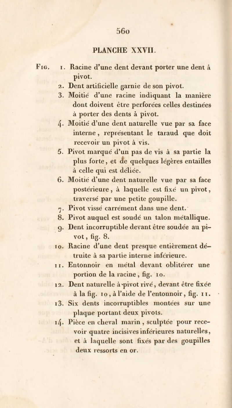 PLANCHE XXYII. Fig. i. Racine d’une dent devant porter une dent à pivot. 2. Dent artificielle garnie de son pivot. 3. Moitié d’une racine indiquant la manière dont doivent être perforées celles destinées à porter des dents à pivot. 4- Moitié d’une dent naturelle vue par sa face interne, représentant le taraud que doit recevoir un pivot à vis. 5. Pivot marqué d’un pas de vis à sa partie la plus forte, et de quelques légères entailles à celle qui est déliée. 6. Moitié d’une dent naturelle vue par sa face postérieure , à laquelle est fixé un pivot, traversé par une petite goupille. 7. Pivot vissé carrément dans une dent. 8. Pivot auquel est soudé un talon métallique, g. Dent incorruptible devant être soudée au pi¬ vot , fig. 8. 10. Racine d’une dent presque entièrement dé¬ truite à sa partie interne inférieure. 11. Entonnoir en métal devant oblitérer une portion de la racine, fig. io. 12. Dent naturelle à'pivot rivé, devant être fixée à la fig. 10 , à l’aide de l’entonnoir, fig. 11. 13. Six dents incorruptibles montées sur une plaque portant deux pivots. 14. Pièce en cheval marin , sculptée pour rece¬ voir quatre incisives inférieures naturelles, et à laquelle sont fixés par des goupilles deux ressorts en or.