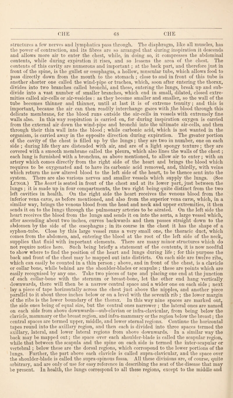 structures a few nerves and lymphatics pass through. The diaphragm, like all muscles, has the power of contraction, and its fibres are so arranged that during inspiration it descends and allows more air to enter the chest, while, in doing so, it compresses the abdominal contents, while during expiration it rises, and so lessens the area of the chest. The contents of this cavity are numerous and important ; at the back part, and therefore just in front of the spine, is the gullet or oesophagus, a hollow, muscular tube, which allows food to pass directly down from the mouth to the stomach ; close to and in front of this tube is another shorter one called the wind-pipe or trachea, which, soon after entering the thorax, divides into two branches called bronchi, and these, entering the lungs, break up and sub¬ divide into a vast number of smaller branches, which end in small, dilated, closed extre¬ mities called air-cells or air-vesicles : as they become smaller and smaller, so the wall of the tube becomes thinner and thinner, until at last it is of extreme tenuity; and this is important, because the air can then readily interchange gases with .the blood through this delicate membrane, for the blood runs outside the air-cells in vessels with extremely fine walls also. In this wray respiration is carried on, for during inspiration oxygen is carried from the external air down the wind-pipe and bronchi into the ultimate air-cells, and then through their thin wall into the blood ; while carbonic acid, which is not wTanted in the organism, is carried away in the opposite direction during expiration. The greater portion of the cavity of the chest is filled up by the lungs ; they are two in number, one on each side ; during life they are distended with air, and are of a light spongy texture; they are covered with a smooth membrane called the pleura, which also lines the walls of the chest; each lung is furnished with a bronchus, as above mentioned, to allow air to enter ; with an artery which comes directly from the right side of the heart and brings the blood which requires to be oxygenated and to have its carbonic acid removed, and, thirdly, with veins which return the now altered blood to the left side of the heart, to be thence sent into the system. There are also various nerves and smaller vessels which supply the lungs. (See Lungs.) The heart is seated in front of the chest and at its lower part, just between the lungs ; it is made up in four compartments, the twu right being quite distinct from the two left cavities in health. On the right side the heart receives the venous blood from the inferior vena cavse, as before mentioned, and also from the superior vena cavae, which, in a similar way, brings the venous blood from the head and neck and upper extremities, it then sends it on to the lungs through the pulmonary arteries to be aerated. On the left side the heart receives the blood from the lungs and sends it on into the aorta, a large vessel which, after ascending about two inches, curves backwards and then passes straight down to the abdomen by the side of the oesophagus ; in its course in the chest it has the shape of a syphon-tube. Close by this large vessel runs a very small one, the thoracic duct, which comes from the abdomen, and, entering the blood at the root of the left side of the neck, supplies that fluid with important elements. There are many minor structures which do not require notice here. Such being briefly a statement of the contents, it is now needful to show where to find the position of the heart and lungs during life ; for this purpose the back and front of the chest may be mapped out into districts. On each side are twelve ribs, which can easily be counted in a thin person ; above, and in front of the chest, is a clavicle or collar bone, while behind are the shoulder-blades or scapulee ; these are points which are easily recognised by any one. Take twro pieces of tape and placing one end at the junction of each collar-bone with the sternum or breast-bone, let the other end hang vertically downwards, there will then be a narrow central space and a wider one on each side ; next lay a piece of tape horizontally across the chest just above the nipples, and another piece parallel to it about three inches below or on a level with the seventh rib ; the lower margin of the ribs is the lower boundary of the thorax. In this way nine spaces are marked out, the side ones being of equal size, but the central ones narrower ; the lateral ones are named on each side from above downwards—sub-clavian or in fra-clavicular, from being below the clavicle, mammary or the breast region, and infra-mammary or the region below the breast; the central spaces are termed upper, middle, and lower sternal regions. Continue the horizontal tapes round into the axillary region, and then each is divided into three spaces termed the axillary, lateral, and lower lateral regions from above downwards. In a similar way the back may be mapped out; the space over each shoulder-blade is called the scapular region, while that between the scapula and the spine on each side is termed the inter-scapular or vertebral ; below these are the dorsal regions, which correspond to the lowrer portions of the lungs. Further, the part above each clavicle is called supra-clavicular, and the space over the shoulder-blade is called the supra-spinous fossa. All these divisions are, of course, quite arbitrary, and are only of use for easy reference in describing the seat of the disease that may be present. In health, the lungs correspond to all these regions, except to the middle and