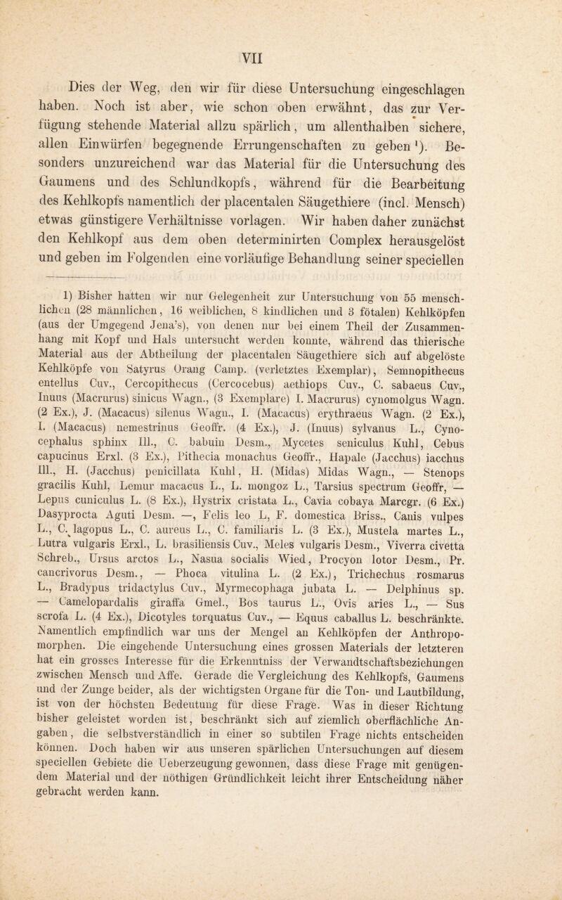 Dies der Weg, den wir für diese Untersuchung eingeschlagen haben. Noch ist aber, wie schon oben erwähnt, das zur Ver- . e lügung stehende Material allzu spärlich, um allenthalben sichere, allen Einwürfen begegnende Errungenschaften zu geben*). Be¬ sonders unzureichend war das Material für die Untersuchung des Gaumens und des Schlundkopfs, während für die Bearbeitung des Kehlkopfs namentlich der placentalen Säugethiere (incl. Mensch) etwas günstigere Verhältnisse Vorlagen. Wir haben daher zunächst den Kehlkopf aus dem oben determinirten Complex herausgelöst und geben im Folgenden eine vorläufige Behandlung seiner speciellen 1) Bisher hatten wir nur Gelegenheit zur Untersuchung von 55 mensch¬ lichen (28 männlichen, 16 weiblichen, 8 kindlichen und 8 fötalen) Kehlköpfen (aus der Umgegend Jena’s), von denen nur bei einem Theil der Zusammen¬ hang mit Kopf und Hals untersucht werden konnte, während das thierische Material aus der Abtheilung der placentalen Säugethiere sich auf abgelöste Kehlköpfe von Satyrus Orang Camp, (verletztes Exemplar), Semnopithecus entellus Cuv., Cercopithecus (Cercocebus) aethiops Cuv., C. sabaeus Cuv., Inuus (Macrurus) sinicus Wagn., (3 Exemplare) I. Macrurus) cynomolgus Wagn. (2 Ex.), J. (Macacus) silenus Wagn., I. (Macacus) erythraeus Wagn. (2 Ex.), I. (Macacus) nemestrinus Geoffr. (4 Ex.), J. (Inuus) sylvanus L., Cyno- cephalus sphinx 111., C. babuin I)esm., Mycetes seniculus Kühl, Cebus capucinus Erxl. (3 Ex.), Pithecia monachus Geoffr., Hapale (Jacchus) iacchus 111., H. (Jacchus) penicillata Kühl, H. (Midas) Midas Wagn., — Stenops gracilis Kulil, Lemur macacus L., L. mongoz L., Tarsius spectrum Geoffr, — Lepus cuniculus L. (8 Ex.), Hystrix cristata L., Cavia cobaya Marcgr. (6 Ex.) Dasyprocta Aguti I)esm. —, Felis leo L, F. domestica Briss., Canis vulpes L., C.^lagopus L., C. aureus L., C. familiaris L. (3 Ex.), Mustela martes L., Lutra vulgaris Erxl., L. brasiliensis Cuv., Meies vulgaris Desm., Yiverra civetta Schreb., Ursus arctos L., Nasua socialis Wied, Procyon lotor Desm., Pr. cancrivorus Desm., — Phoca vitulina L. (2 Ex.), Trichechus rosmarus L., Bradypus tridactylus Cuv., Myrmecophaga jubata L. — Delphinus sp. — Camelopardalis giraffä Gmel., Bos taurus L., Ovis aries L., — Sus scrofa L. (4 Ex.), Dicotyles torquatus Cuv., — Equus caballus L. beschränkte. Namentlich empfindlich war uns der Mengel an Kehlköpfen der Anthropo- morphen. Die eingehende Untersuchung eines grossen Materials der letzteren hat ein grosses Interesse für die Erkenntniss der Verwandtschaftsbeziehungen zwischen Mensch und Affe. Gerade die Vergleichung des Kehlkopfs, Gaumens und der Zunge beider, als der wichtigsten Organe für die Ton- und Lautbildung, ist von der höchsten Bedeutung für diese Frage. Was in dieser Richtung bisher geleistet worden ist, beschränkt sich auf ziemlich oberflächliche An¬ gaben , die selbstverständlich in einer so subtilen Frage nichts entscheiden können. Doch haben wir aus unseren spärlichen Untersuchungen auf diesem speciellen Gebiete die Ueberzeugung gewonnen, dass diese Frage mit genügen¬ dem Material und der nöthigen Gründlichkeit leicht ihrer Entscheidung näher gebracht werden kann.