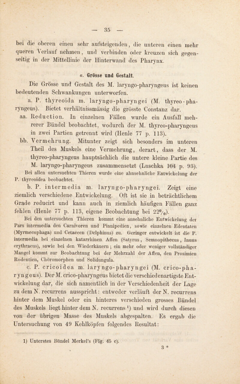 bei die oberen einen sehr aufsteigenden, die unteren einen mehr queren Verlauf nehmen, und verbinden oder kreuzen sich gegen¬ seitig in der Mittellinie der Hinterwand des Pharynx. a. Grösse und Gestalt. Die Grösse und Gestalt des M. laryngo-pharyngeus ist keinen bedeutenden Schwankungen unterworfen. a. P. thyreoida m. laryngo-pharyngei (M. thyreo-pha- ryngeus). Bietet verhältnissmässig die grösste Constanz dar. aa. Reduction. In einzelnen Fällen wurde ein Ausfall meh¬ rerer Bündel beobachtet, wodurch der M. thyreo-pharyngeus in zwei Partien getrennt wird (Henle 77 p. 113). bb. Vermehrung. Mitunter zeigt sich besonders im unteren Theil des Muskels eine Vermehrung, derart, dass der M. thyreo-pharyngeus hauptsächlich die untere kleine Partie des M. laryngo-pharyngeus zusammensetzt (Luschka 104 p. 93). Bei allen untersuchten Thieren wurde eine ahnsehnliche Entwickelung der P. thyreoidea beobachtet. b. P. intermedia m. laryngo-pharyngei. Zeigt eine ziemlich verschiedene Entwickelung. Oft ist sie in beträchtlichem Grade reducirt und kann auch in ziemlich häufigen Fällen ganz fehlen (Henle 77 p. 113, eigene Beobachtung bei 22°/0). Bei den untersuchten Thieren kommt eine ansehnliche Entwickelung der Pars intermedia den Carnivoren und Pinnipedien, sowie einzelnen Edentaten (Myrmecophaga) und Cetaceen (Delphinus) zu. Geringer entwickelt ist die P. intermedia bei einzelnen katarrhinen Affen (Satyrus, Semnopithecus, Inuus erythraeus), sowie bei den Wiederkäuern; ein mehr oder weniger vollständiger Mangel kommt zur Beobachtung bei der Mehrzahl der Affen, den Prosimien Rodentien, Chöromorphen uud Solidungula. c. P. cricoidea m. laryngo-pharyngei (M. crico-pha- r y n g eus). Der M. crico-pharyngeus bietet die verschiedenartigste Ent¬ wickelung dar, die sich namentlich in der Verschiedenheit der Lage zu dem N. recurrens ausspricht: entweder verläuft der N. recurrens hinter dem Muskel oder ein hinteres verschieden grosses Bündel des Muskels liegt hinter dem N. recurrens *) und wird durch diesen von der übrigen Masse des Muskels abgespalten. Es ergab die Untersuchung von 49 Kehlköpfen folgendes Resultat: 3 * 1) Unterstes Bündel Merkel’s (Fig. 45 c).