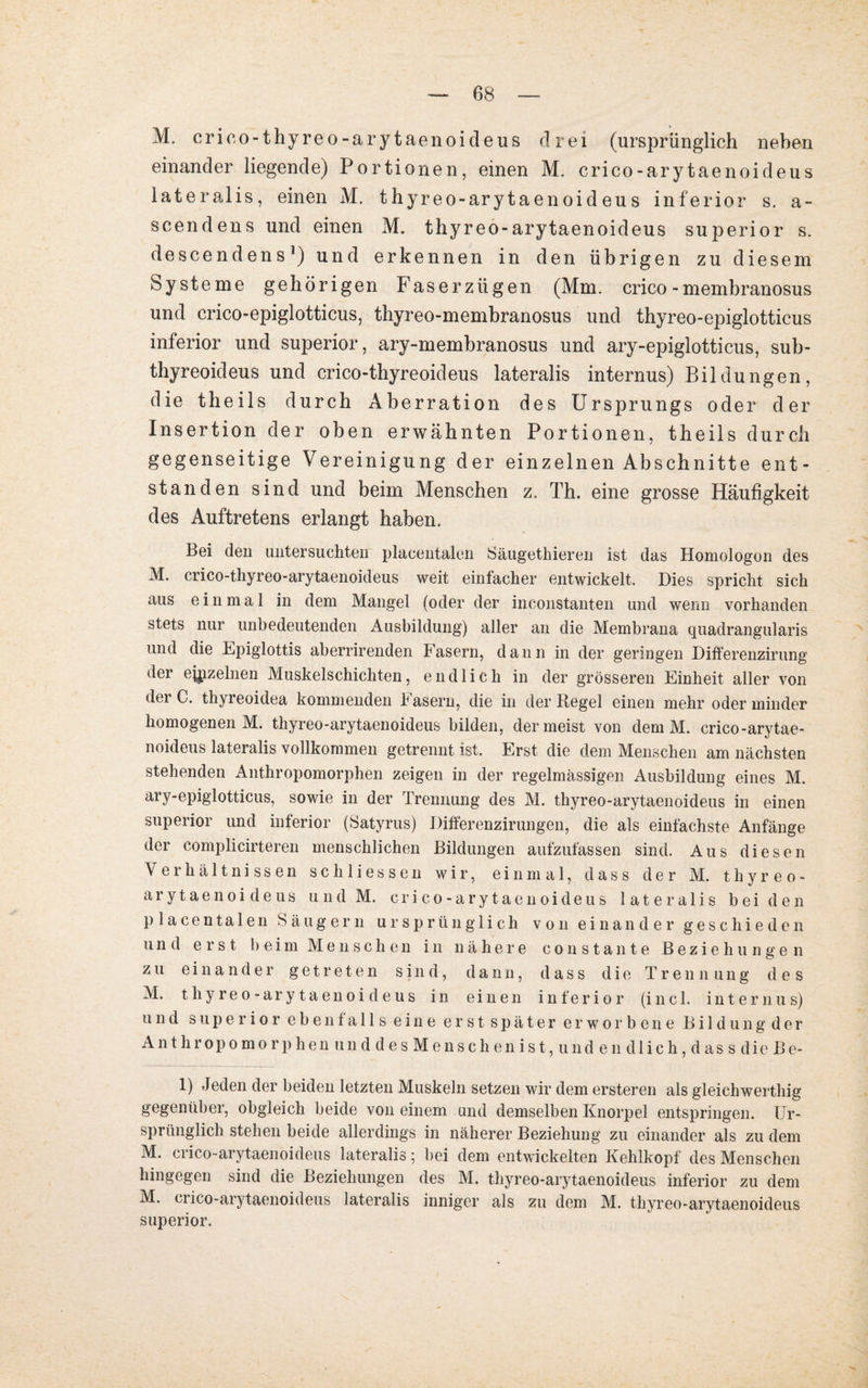 M. crico-thyreo-arytaenoideus drei (ursprünglich neben einander liegende) Portionen, einen M. crico-arytaenoideus lateralis, einen AI. thyreo-arytaenoideus inferior s. a~ scendens und einen M. thyreo-arytaenoideus superior s. descendens1) und erkennen in den übrigen zu diesem Systeme gehörigen Faserzügen (Mm. crico-membranosus und crico-epiglotticus, thyreo-membranosus und thyreo-epiglotticus inferior und superior, ary-membranosus und ary-epiglotticus, sub- thyreoideus und crico-thyreoideus lateralis internus) Bildungen, die theils durch Aberration des Ursprungs oder der Insertion der oben erwähnten Portionen, theils durch gegenseitige Vereinigung der einzelnen Abschnitte ent¬ standen sind und beim Menschen z. Th. eine grosse Häufigkeit des Auftretens erlangt haben. Bei den untersuchten placentalen Säugethieren ist das Homologon des M. crico-thyreo-arytaenoideus weit einfacher entwickelt. Dies spricht sich aus einmal in dem Mangel (oder der inconstanten und wenn vorhanden stets nur unbedeutenden Ausbildung) aller an die Membrana quadrangularis und die Epiglottis aberrirenden Fasern, dann in der geringen Differenzirung der einzelnen Muskelschichten, endlich in der grösseren Einheit aller von der C. thyreoidea kommenden Fasern, die in der Regel einen mehr oder minder homogenen M. thyreo-arytaenoideus bilden, der meist von dem M. crico-arytae- noideus lateralis vollkommen getrennt ist. Erst die dem Menschen am nächsten stehenden Anthropomorphen zeigen in der regelmässigen Ausbildung eines M. ary-epiglotticus, sowie in der Trennung des M. thyreo-arytaenoideus in einen superior und inferior (Satyrus) Differenzirungen, die als einfachste Anfänge der complicirteren menschlichen Bildungen aufzufassen sind. Aus diesen Verhältnissen schliessen wir, einmal, dass der M. thyreo- arytaenoideus und M. crico-ary taenoideus lateralis beiden placentalen Säugern ursprünglich von einander geschieden und erst beim Menschen in nähere constante Beziehungen zu einander getreten sind, dann, dass die Irenn ung des M. thyreo-arytaenoideus in einen inferior (incl. internus) und superior ebenfalls eine erst später erworbene Bildung der AnthropomorphenunddesMenschenist,undendlich,dassdieBe- 1) Jeden der beiden letzten Muskeln setzen wir dem ersteren als gleichwerthig gegenüber, obgleich beide von einem und demselben Knorpel entspringen. Ur¬ sprünglich stehen beide allerdings in näherer Beziehung zu einander als zu dem M. crico-arytaenoideus lateralis; bei dem entwickelten Kehlkopf des Menschen hingegen sind die Beziehungen des M. thyreo-arytaenoideus inferior zu dem M. crico-arytaenoideus lateralis inniger als zu dem M. thyreo-arytaenoideus superior.