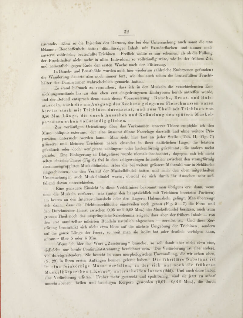 zustande. Eben so die Injection des Darmes, der bei der Untersuchung auch sonst die uns bekannte Beschaffenheit hatte: dünnflüssiger Inhalt mit Exsudatflocken und immer noch äusserst zahlreiche, bruterfüllte Trichinen. Freilich wollte es nur scheinen, als ob die Füllung der Fruchthälter nicht mehr in allen Individuen so vollständig wäre, wie in der frühem Zeit und namentlich gegen Ende der ersten Woche nach der Fütterung. In Bauch- und Brusthöhle wurden auch hier wiederum zahlreiche Embryonen gefunden: die Wanderung dauerte also noch immer fort, wie das auch schon die bruterfüllten Frucht¬ hälter der Darmwürmer wahrscheinlich gemacht hatten. Es stand hiernach zu vermuthen, dass ich in den Muskeln die verschiedensten Ent¬ wicklungszustände bis zu den eben erst eingedrungenen Embryonen herab antreffen würde, und der Befund entsprach denn auch dieser Voraussetzung. Bauch-, Brust- und Hals¬ muskeln, auch die am Ausgang des Beckens gelegenen Fleischmassen waren bereits stark mit Trichinen durchsetzt, und zum Theil mit Trichinen von 0,56 Mm. Länge, die durch Aussehen und Knäuelung den spätem Muskel¬ parasiten schon vollständig glichen. Zur vorläufigen Orientirung über das Vorkommen unserer Thiere empfehle ich den Muse, obliquus externus, der eine äusserst dünne Faserlage darstellt und ohne weitere Prä¬ paration untersucht werden kann. Man sieht hier fast an jeder Stelle (Tab. II, Fig. 7) grössere und kleinere Trichinen neben einander in ihrer natürlichen Lage, die letztem geknäuelt oder doch wenigstens schlingen- oder hackenförmig gekrümmt, die andern meist u-erade. Eine Einlagerung in Blutgefässe wurde niemals beobachtet, dagegen sah ich nicht selten einzelne Thiere (Fig. 8) frei in den zellgewebigen Interstitien zwischen den strangförmig zusammengruppirten Muskelbündeln. Aber die bei weitem grössere Mehrzahl war in Schläuche eino-eschlossen, die den Verlauf der Muskelbündel hatten und nach den oben mitgetheilten Untersuchungen auch Muskelbündel waren, obwohl sie sich durch ihr Aussehen sehr auf¬ fallend davon unterschieden. Eine genauere Einsicht in diese Verhältnisse bekommt man übrigens erst dann, wenn man die Muskeln zerfasert, was (unter den hauptsächlich mit Trichinen besetzten Partieen) am besten an den Intercostalmuskeln oder den längeren Halsmuskeln gelingt. Man überzeugt sich dann, dass die Trichinenschläuche einstweilen noch genau (Fig. 5 7) die horm und den Durchmesser (meist zwischen 0,05 und 0,08 Mm.) der Muskelbündel besitzen, auch zum «■rossen Theil noch das ursprüngliche Sarcolemma zeigen, dass aber der frühere Inhalt — von den erst unmittelbar inficirten Bündeln natürlich abgesehen — zerstört ist. Und diese Zer¬ störung beschränkt sich nicht etwa bloss auf die nächste Umgebung der Trichinen, sondern auf die ganze Länge der Faser, so weit man sie isolirt hat oder deutlich verfolgen kann, mitunter über 5 oder 6 Mm. Wenn ich hier das Wort „Zerstörung“ brauche, so soll damit aber nicht etwa eine, vielleicht nur locale Continuitätstrennung bezeichnet sein. Die Veränderung ist eine andere, viel durchgreifendere. Sie besteht in einer morphologischen Umwandlung, die wir schon oben, (S. 29) in ihren ersten Anfängen kennen gelernt haben. Die fibrilläre Substanz ist in eine feinkörnige Masse zerfallen, in der sich nur noch die früheren Muskelkörperchen („Kerne“) unterscheiden 1 assen (ibid). Und auch diese haben eine Veränderung erlitten. Früher mehr gestreckt und spaltförmig, sind sie jetzt zu scharf umschriebenen, hellen und bauchigen Körpern geworden (0,01 0,016 Mm.), die durch