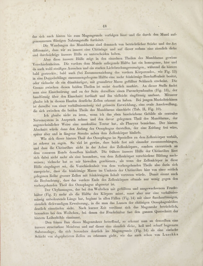 das sich nach hinten bis zum Magengrunde verfolgen lässt und die durch den Mund auf- o-enommenen flüssigen Nahrungstoffe fortleitet. Die Wandungen des Munddarms sind demnach von beträchtlicher Stärke und der Art differenzirt, dass wir zu innerst eine Chitinlage und auf dieser sodann eine ziemlich dicke und durchsichtige äussere Hülle zu unterscheiden haben. Aber diese äussere Hülle zeigt in den einzelnen Theilen des Munddarms gewisse Verschiedenheiten. Die vordere dem Munde anliegende Hälfte hat ein homogenes, hier und da auch wohl streifiges Aussehen und ein starkes Lichtbrechungsvermögen, während die hintere bald gestreckte, bald auch (bei Zusammenziehung des vordem Körperendes, wie Fig. 13) in eine Doppelschlinge zusammengebogene Hälfte eine mehr feinkörnige Beschaffenheit besitzt, oder vielmehr als ein dünnhäutiger, mit granulirter Masse gefüllter Schlauch erscheint. Die Grenze zwischen diesen beiden Theilen ist meist deutlich markirt. An dieser Stelle findet man eine Einschnürung und zu der Seite derselben einen Parenchymhaufen (Fig. 13), der bandförmig über den Einschnitt fortläuft und ihn vielleicht ringförmig umfasst. Mitunter glaube ich in diesem Haufen deutliche Zellen erkannt zu haben. Bei jungen Muskeltnchmen lat derselbe von einer verhältnissmässig viel grossem Entwicklung, eine ovale Anschwellung, die sich zwischen die beiden Theile des Munddarms einschiebt (Tab. II, Fig. 10). Ich glaube nicht zu irren, wenn ich das. eben beschriebene Gebilde als centrales Nervensystem in Anspruch nehme und den davor gelegenen Theil des Munddarms, der augenscheinlicher Weise eine muskulöse Textur hat, als Pharynx bezeichne. Der hintere Abschnitt würde dann den Anfang des Oesophagus darstellen, der eine Zeitlang frei wäre, später aber und in längster Strecke neben dem Zellenkörper hinliefe. Wie sich dieser hintere Theil des Oesophagus im Speciellen zu dem Zellenkörper verhält, ist schwer zu sagen. So viel ist gewiss, dass beide fest mit einander Zusammenhängen, und dass die Chitinröhre nicht in der Achse des Zellenkörpers, sondern excentrisch an dem concaven Rande desselben hinläuft. Die frühere äussere Hülle der Chitinröhre lässt sich dabei nicht mehr als eine besondere, von dem Zellenkörper verschiedene Bildung naeli- weisen; vielmehr hat es mir bisweilen geschienen, als wenn der Zellenkorper in diese Hülle eingelagert sei, die Verschiedenheit von dem vorhergehenden Theile also dann sich ausspräche, dass die feinkörnige Masse im Umkreis der Chitinröhre hier von einer seitlich »eleo-enen Reihe grosser Zellen mit feinkörnigem Inhalt vertreten würde. Damit simmt auch die Beobachtung, dass das vordere Ende des Zellenkörpers oftmals nur wenig gegen den vorhergehenden Theil des Oesophagus abgesetzt ist. Der Chylusmagen, der bei den Weibchen mit gefülltem und ausgewachsenem Frucht- hälter (Fig. 2) mehr als die Hälfte des Körpers misst, sonst aber nur eine verhältniss¬ mässig unbedeutende Länge hat, beginnt in allen Fällen (Fig. 14) mit einer flaschenförmigen, ziemlich dickwandigen Erweiterung, in die man das Lumen der chitinigen Oesophagealrohre deutlich einmünden sieht. Nach kurzer Zeit verdünnt sich das Magenrohr beträchtlich, besonders bei den Weibchen, bei denen der Fruchthälter fast den ganzen Querschnitt der hintern Leibeshöhle einnimmt. Den feinen Bau dieses Magenrohres betreffend, so erkennt man an demselben eine äussere structurlose Membran und auf dieser eine ziemlich dicke, hell und scharf begrenzte Substanzlage, die sich besonders deutlich im Magengrunde (Fig. 14) als eine einfache Schicht von abgeplatteten Zellen zu erkennen giebt, wie das auch schon von Luschka