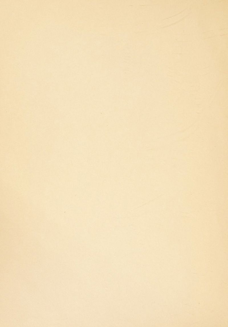 iiMj ,'.W‘\ , i.‘-IF ■: •-\-7M .If. ' Z^. ■:y^t N \ ' .. , t V ' -■ '■ » v;