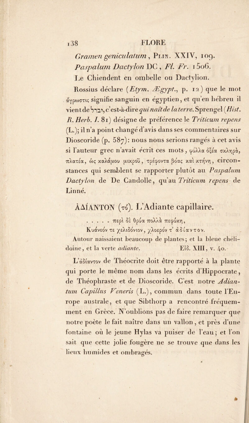 Gramen geniculatum , Plitn. XXIV, 109. Paspalum Dactylon DC , Fl. Fr. 15o6. Le Chiendent en ombelle ou Dactylion. Rossius déclare (Etym. Ægypt., p. 12) que le mot ocYptoCTic; signifie sanguin en égyptien, et qu’en hébreu il vient de bQ>, c’est-à-dire qui naît de laterre. Sprengel (Hist. R. Herb. I. 81) désigne de préférence le Triticum repens (L.); il n’a point changé d’avis dans ses commentaires sur Dioscoride (p. 087): nous nous serions rangés à cet avis si l’auteur grec n’avait écrit ces mots, c^oXXa ôçéa axXyipà, 7rXatea, wç xaXap.ou puxpou , xpscpovxa j3daç xai xxt]vï] , circon- stances qui semblent se rapporter plutôt au Paspalum Dactylon de De Candolle, qu’au Triticum repens de Linné. ÂAïANTON (to). L’Adiante capillaire. TCEpt ûl ôpUOt TüoXXoC TCSCpUXV), Kuaveov xe ysXiooviov, yXospov x5 àâtavxov. Autour naissaient beaucoup de plantes; et la bleue chéli— doine, et la verte adiante. EiS. XIII, v. /jo. L’àSiavxov de Théocrite doit être rapporté à la plante qui porte le même nom dans les écrits d Hippocrate, de Théophraste et de Dioscoride. C’est notre Adian- tum Capillus Feneris (L.), commun dans toute l’Eu- rope australe, et que Sibthorp a rencontré fréquem- ment en Grèce. N’oublions pas de faire remarquer que notre poète le fait naître dans un vallon , et près d’une fontaine où le jeune Hylas va puiser de l’eau; et l’on sait que cette jolie fougère ne se trouve que dans les lieux humides et ombragés.