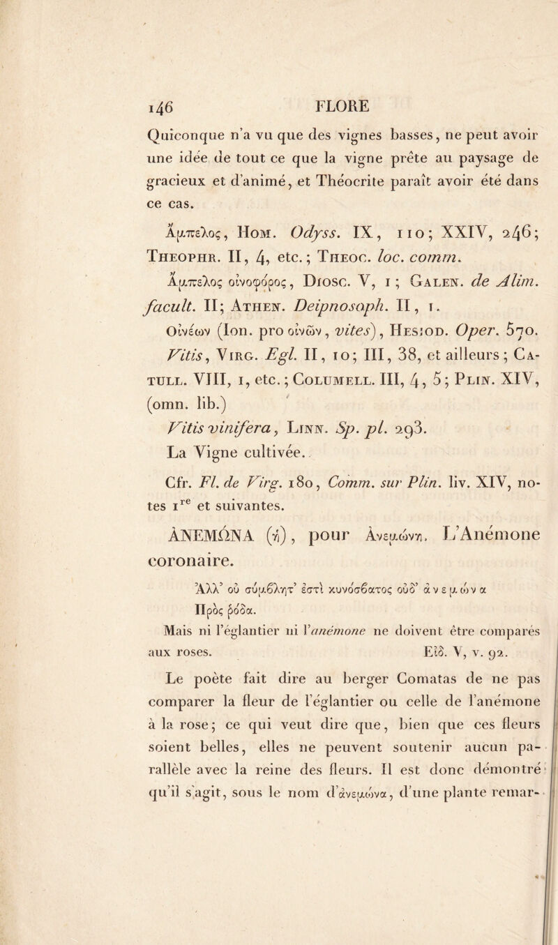 Quiconque n’a vu que des vignes basses, ne peut avoir une idée de tout ce que la vigne prête au paysage de gracieux et d’animé, et Théocrite paraît avoir été dans ce cas. ÂjxraXoç, Hom. Odyss. IX, 110; XXIY, 246; Theophr. II, 4* etc.; Theoc. loc. comm. AulttsIoç oivocpopoç, Diosc. Y, 1; Galen. de Alim. facult. II; Athen. Deipnosoph. II, 1. Olvscov (Ion. prooîvwv, vite s), Hesjod. Oper. 5yo. Vitis, Yirg. II, 10; III, 38, et ailleurs; Ca- tull. VIII, 1, etc. ; Columell. III, 4, 5; Plin. XIV, (omn. lib.) Vitis vinifera, Ljnn. Sp.pl. 298. La Vigne cultivée. Cfr. F1/, dR Virg. 180, Comm. sur P lin. liv. XIV, no- tes ire et suivantes. ÀNEMÜX Y (rj), pour Àvsuwvvi. L’Anémone coronaire. AÀÀ OU (TUpoÂVJT e<tti xuvoaoaToç ouô avsfxtova ITpoç pooa. Mais ni l’églantier ni Xanémone ne doivent être comparés aux roses. Etô. Y, v. 92. Le poète fait dire au berger Comatas de ne pas comparer la fleur de l’églantier ou celle de l’anémone à la rose ; ce qui veut dire que, bien que ces fleurs soient belles, elles ne peuvent soutenir aucun pa- rallèle avec la reine des fleurs. Il est donc démontré qu’il s'agit, sous le nom d àvsjjuova, d’une plante remar-